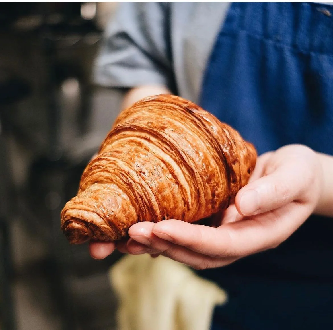 WhatsApp Image 2024-03-11 at 2.44.46 PM (1).jpeg