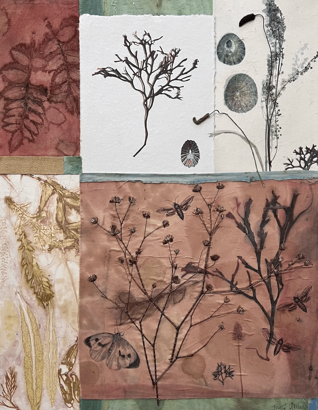 Foraged Herbarium