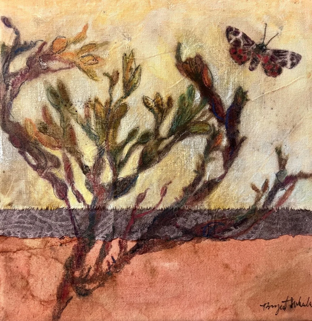 Beach Moth