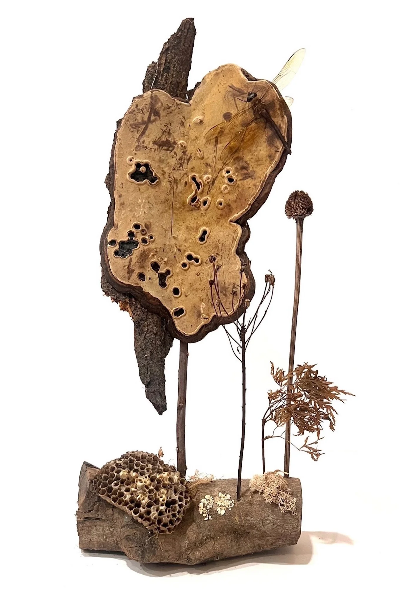 We Are All Connected