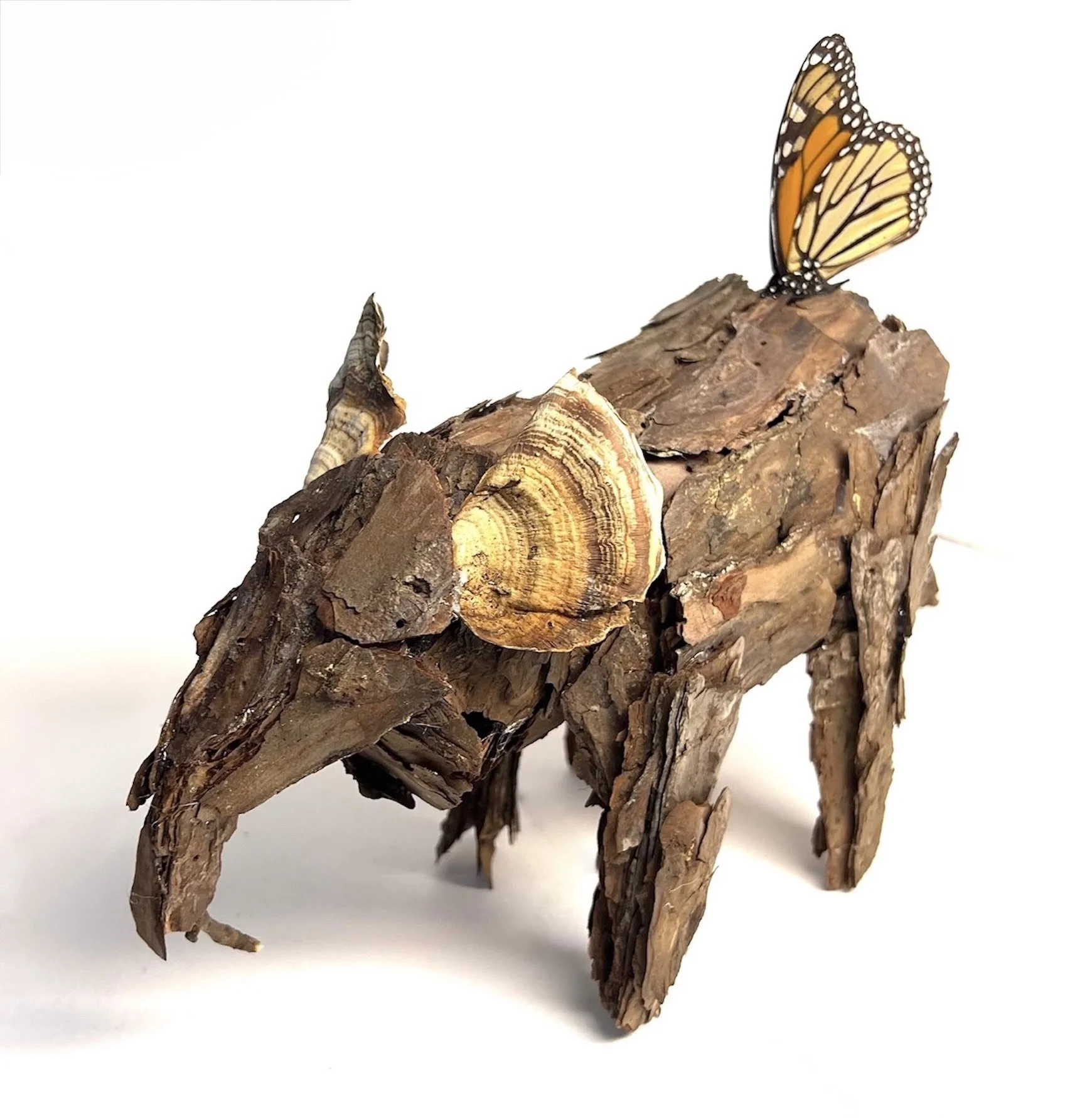 Butterfly Hitchhiker