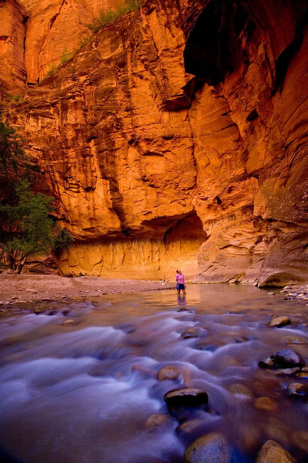 Zion National Park.jpg