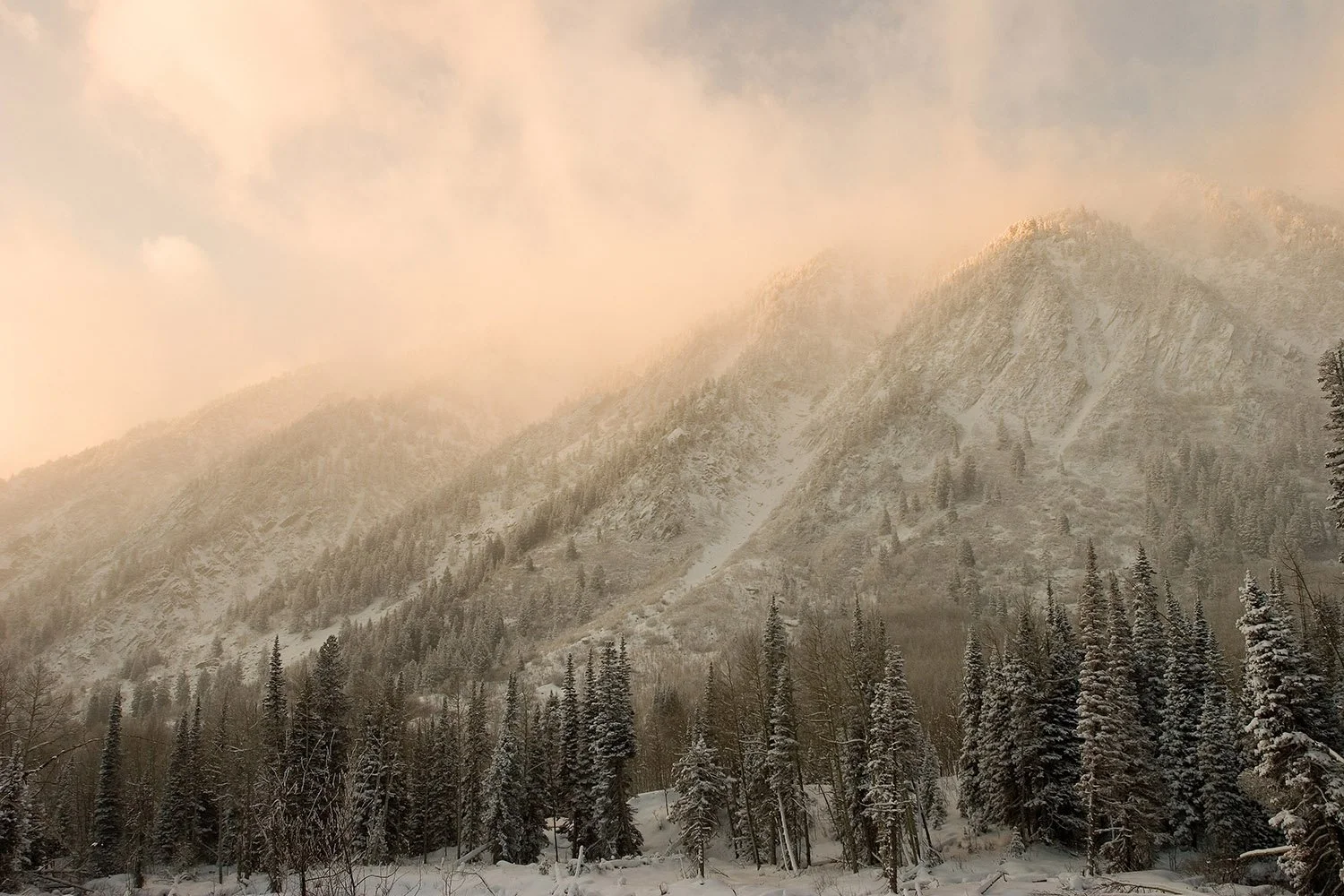LittleCottonwoodCanyon.jpg