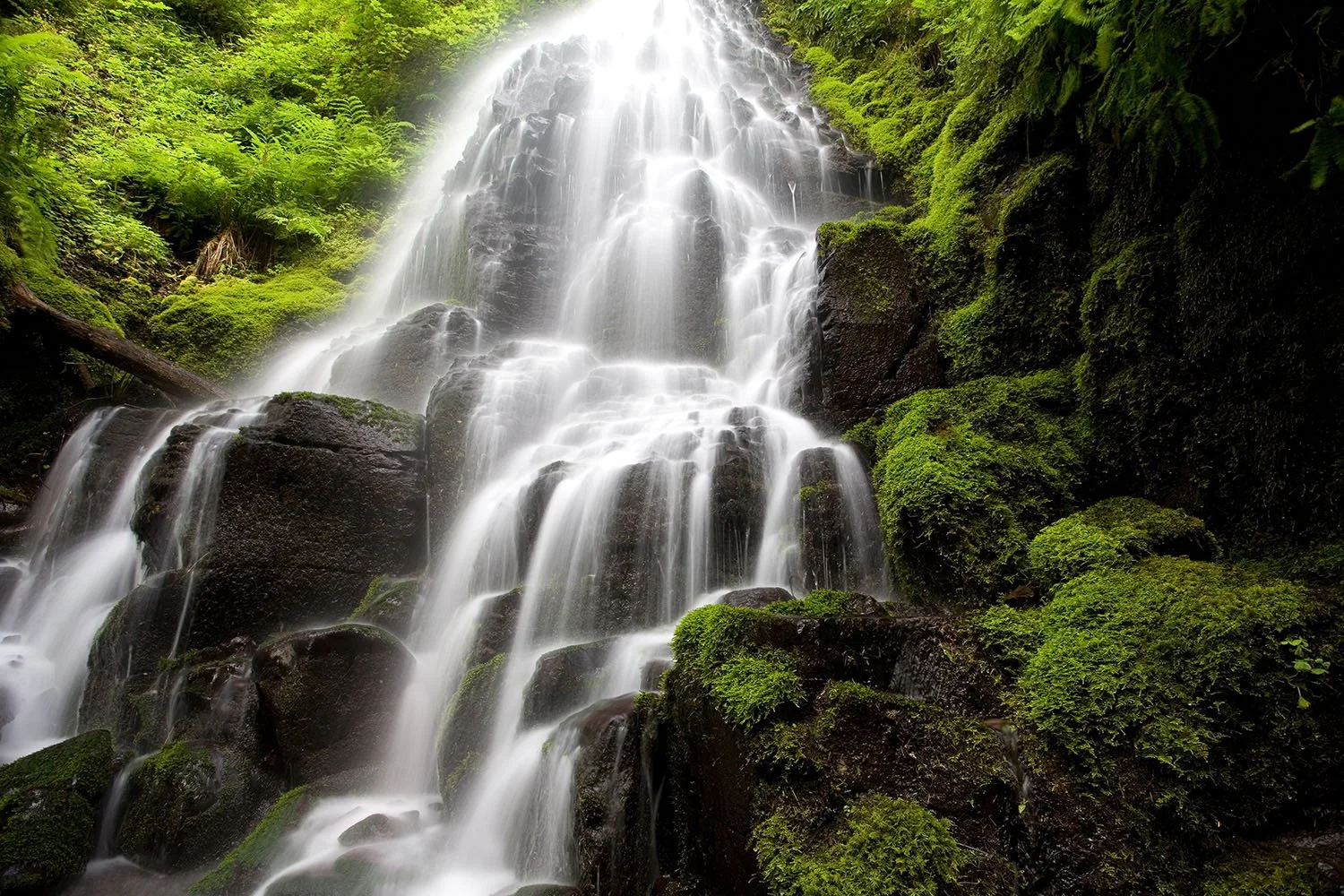 EnchantedFalls-OR.jpg