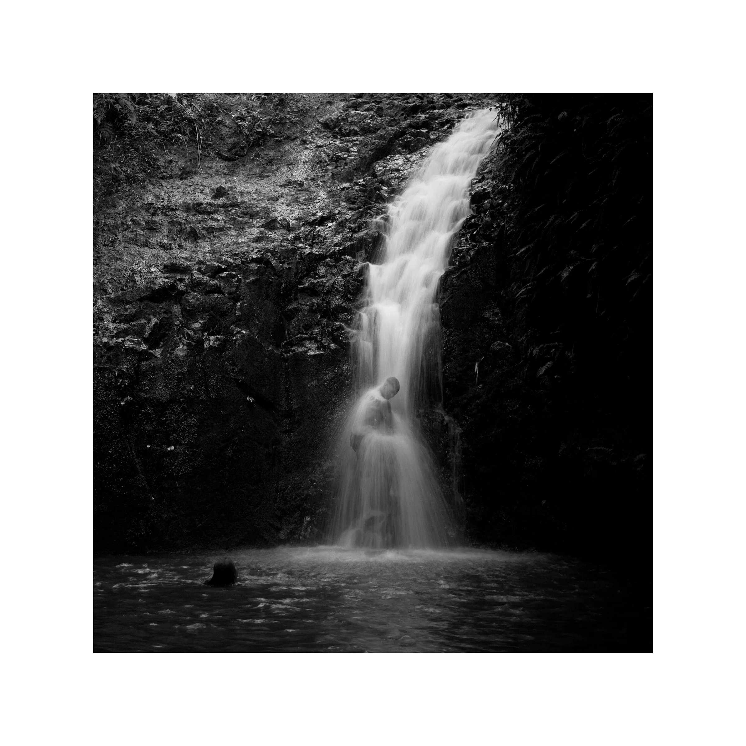 Addams-20090822-MaunaWili-9-8x8.jpg
