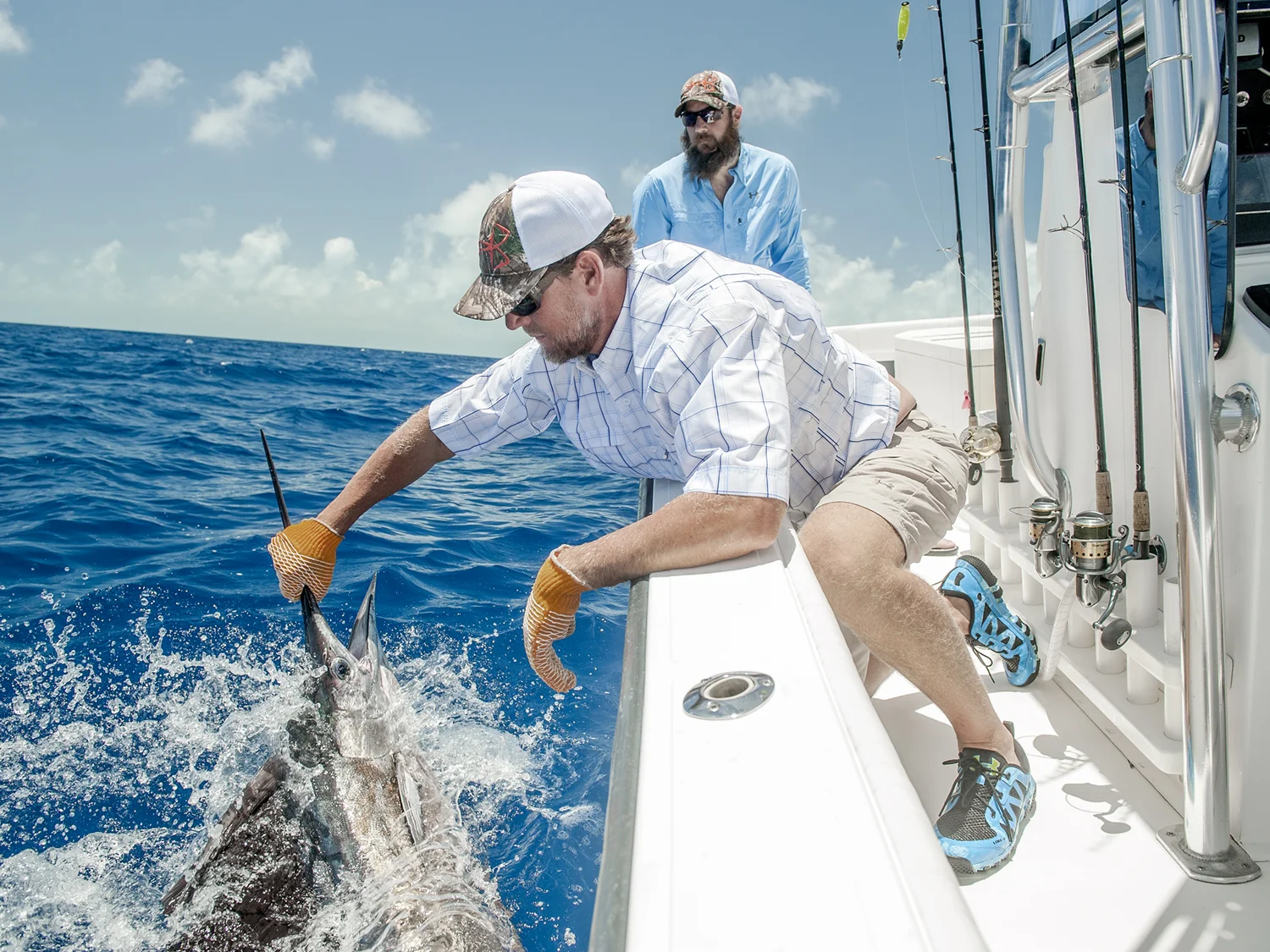 2013_6_10_UA_FISH_DSC8564.jpg