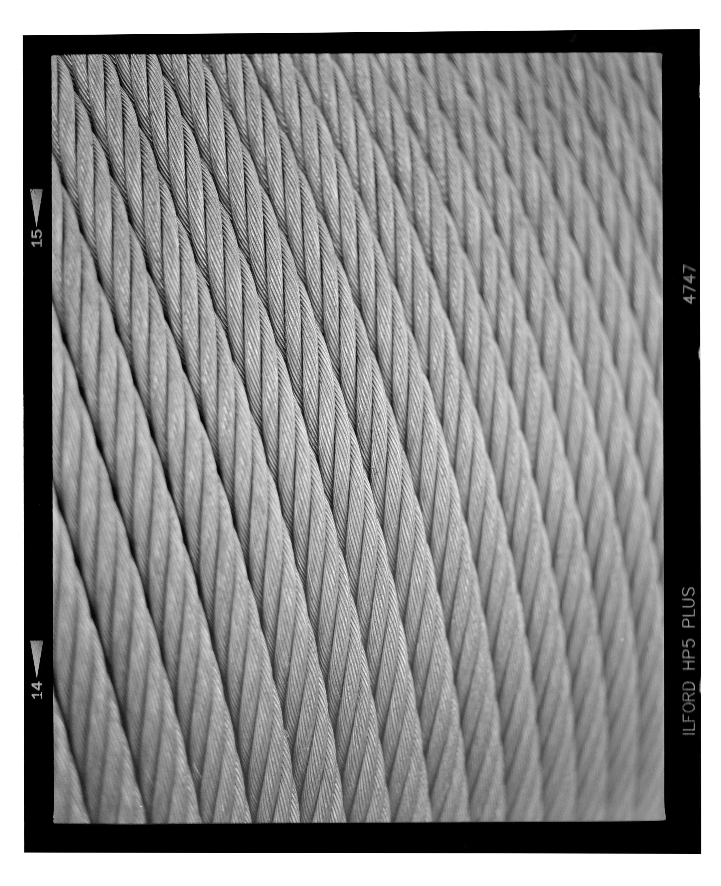 2024_11_25_KB_HOLLY_67_R1_08.jpg