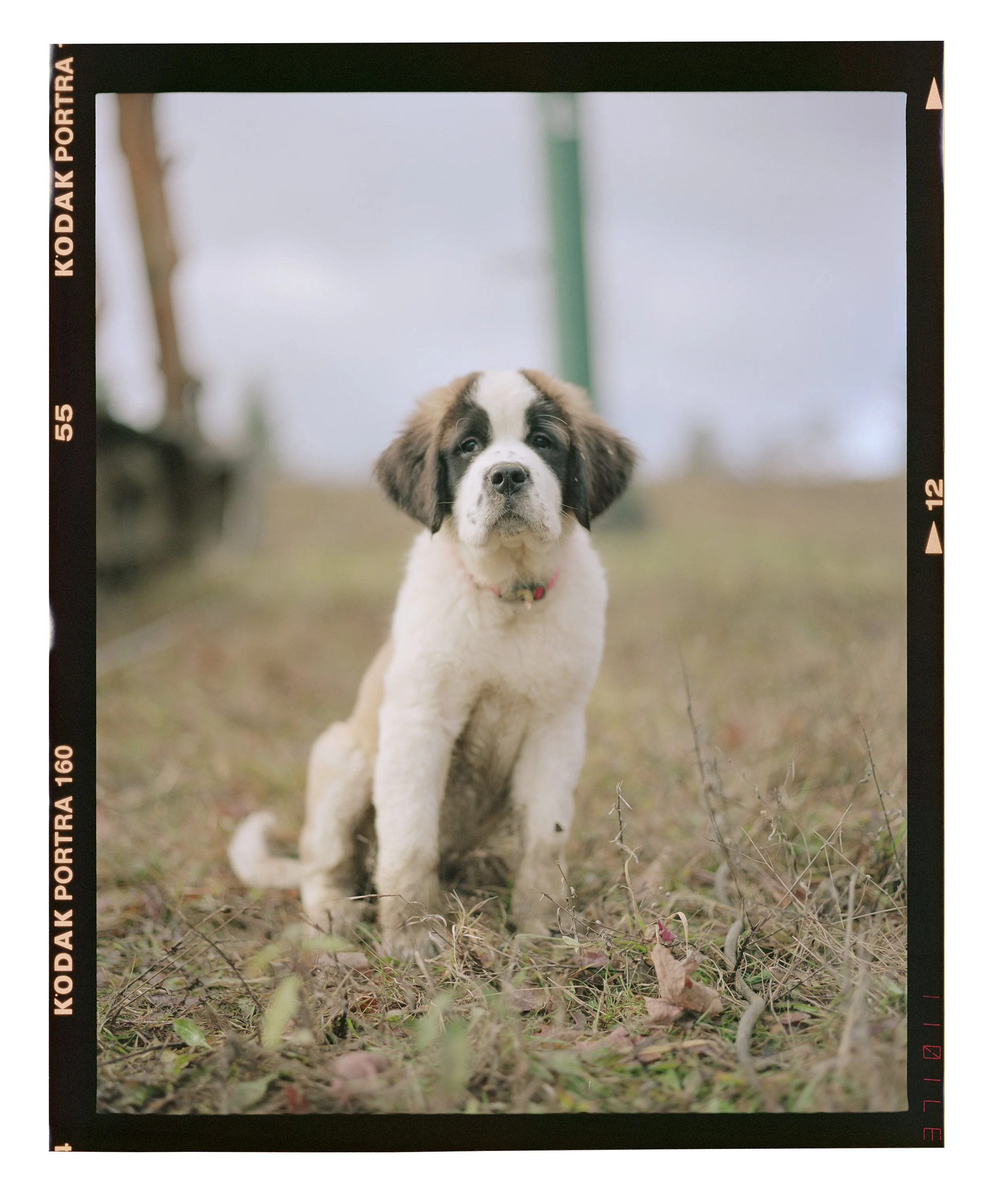 2024_11_27_KB_HOLLY_67_R5_10.jpg
