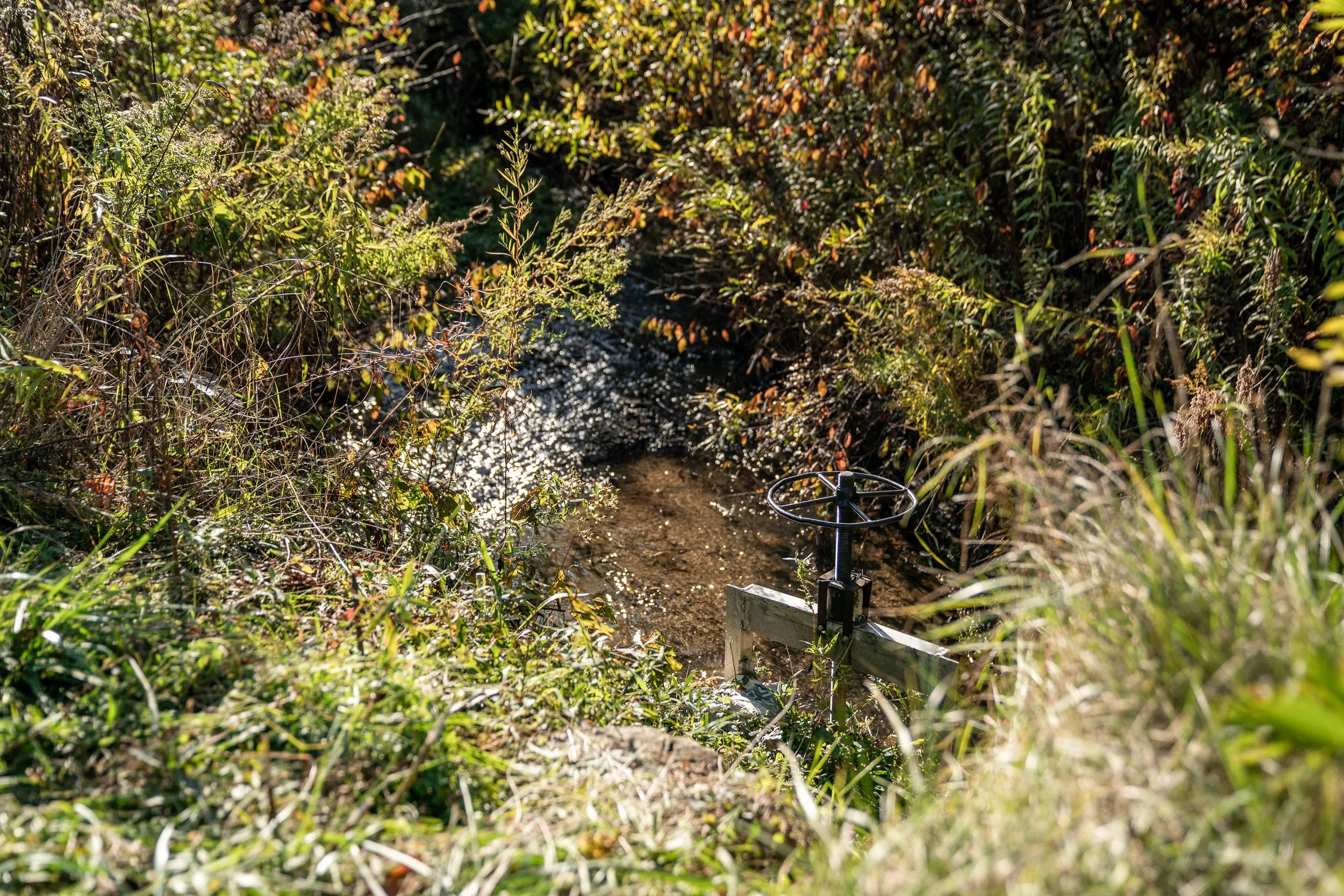 2024_10_17_HOLIMONT-7466.jpg