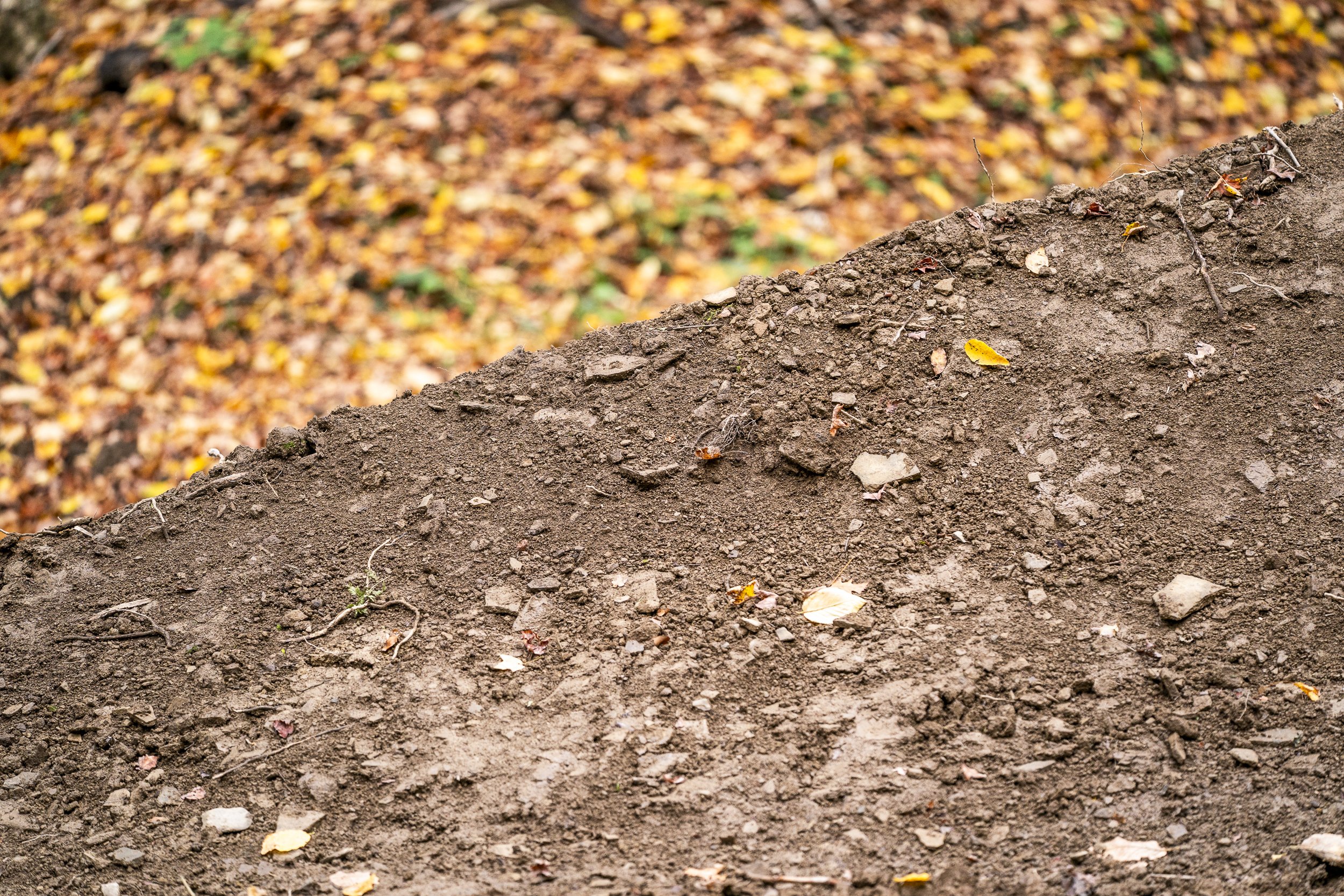 2025_9_24_HOLIMONT-1326.jpg