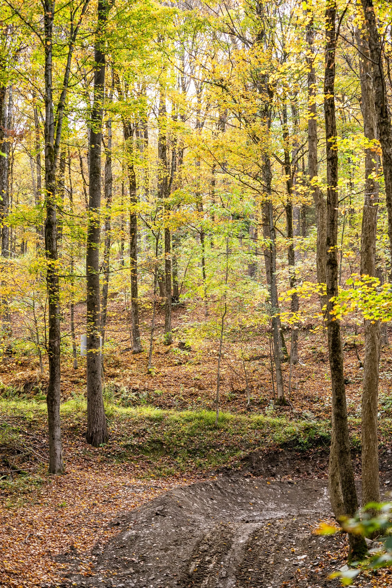 2025_9_24_HOLIMONT-1319.jpg