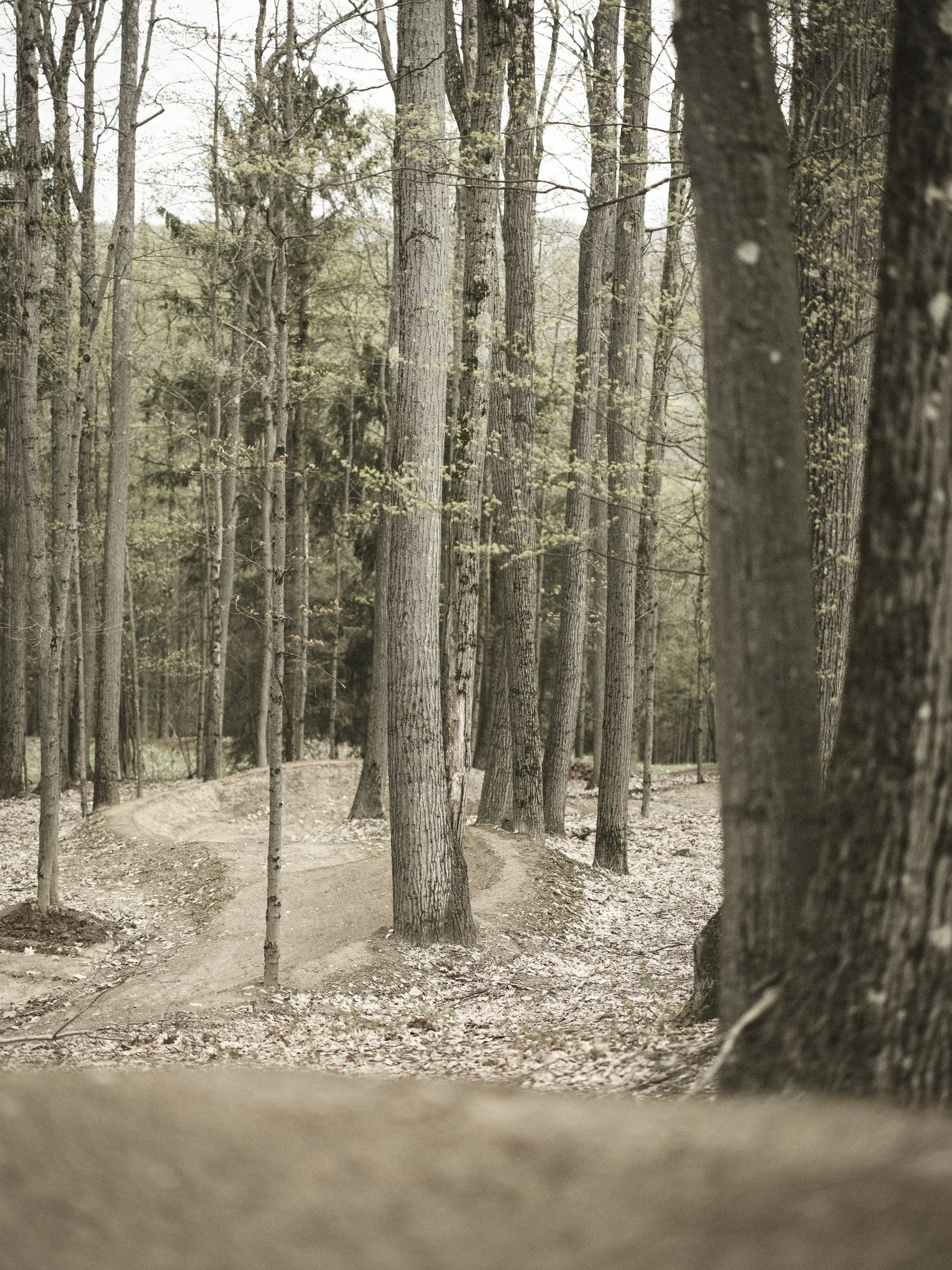 2026_5_5_HOLIMONT-8489.jpg