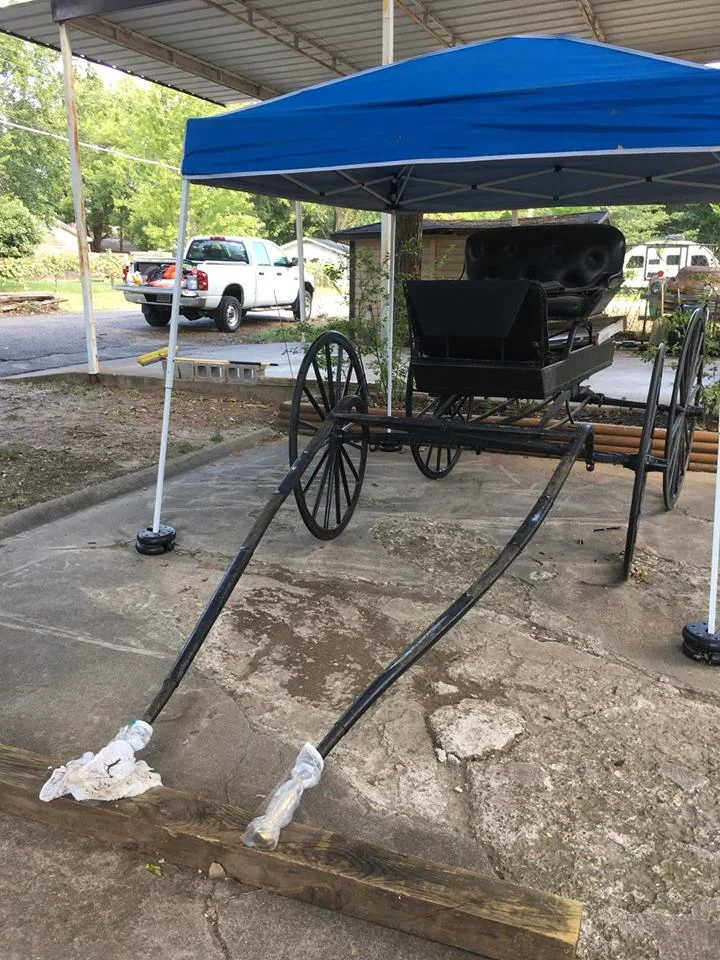 2018buggy.jpg