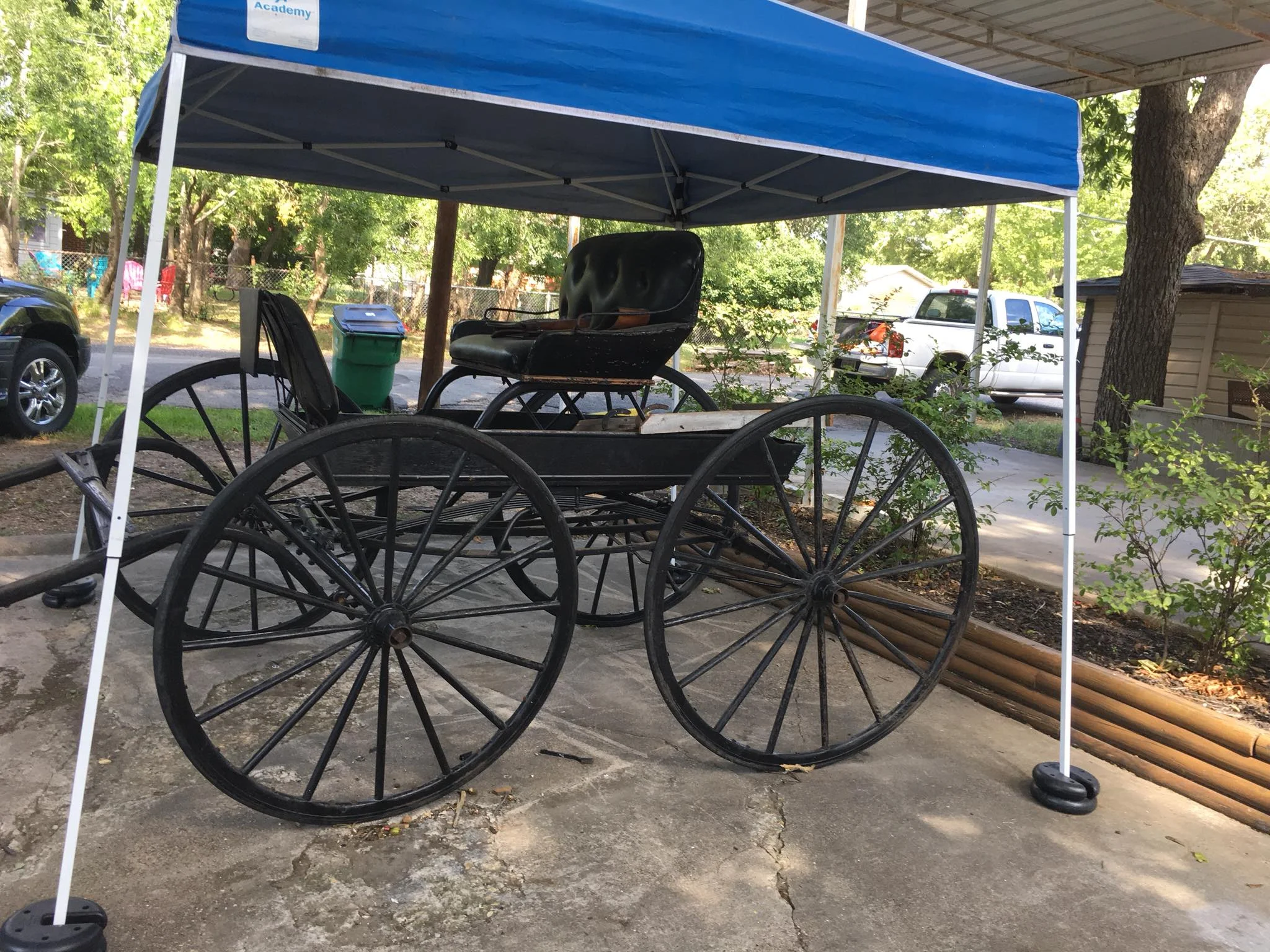 2018buggy2.jpg