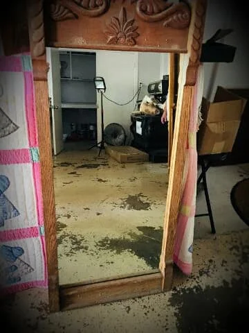 2018mirror.jpg