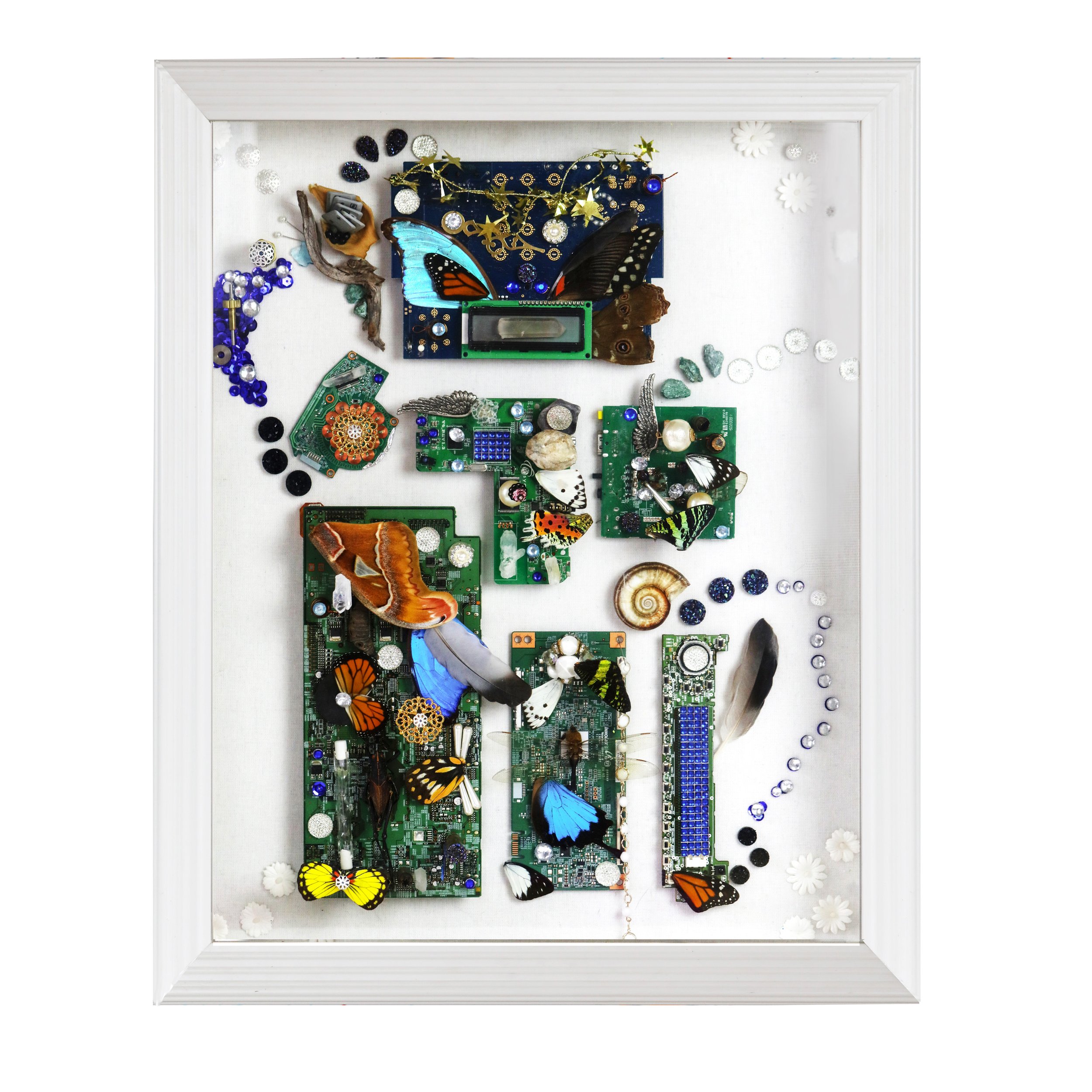 Sarah_Walko_Everything_With_Wings_Mixed_Media_Shadowbox_Wall_Sculpture_30x18x4.jpg