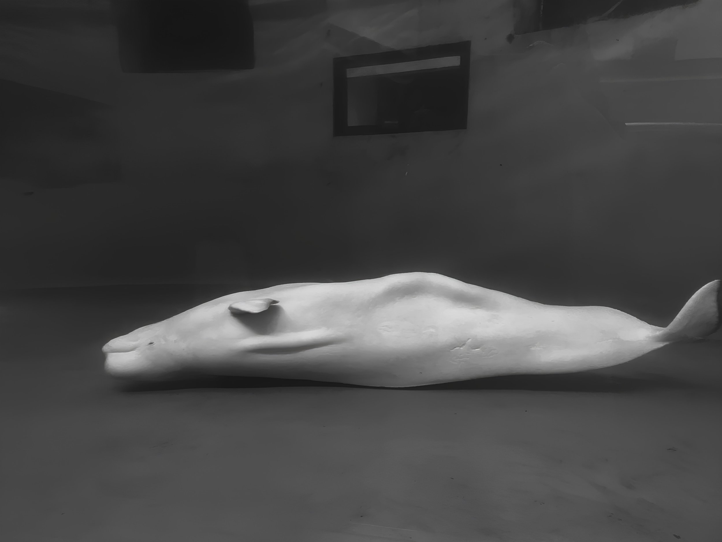 Ida_1.jpg