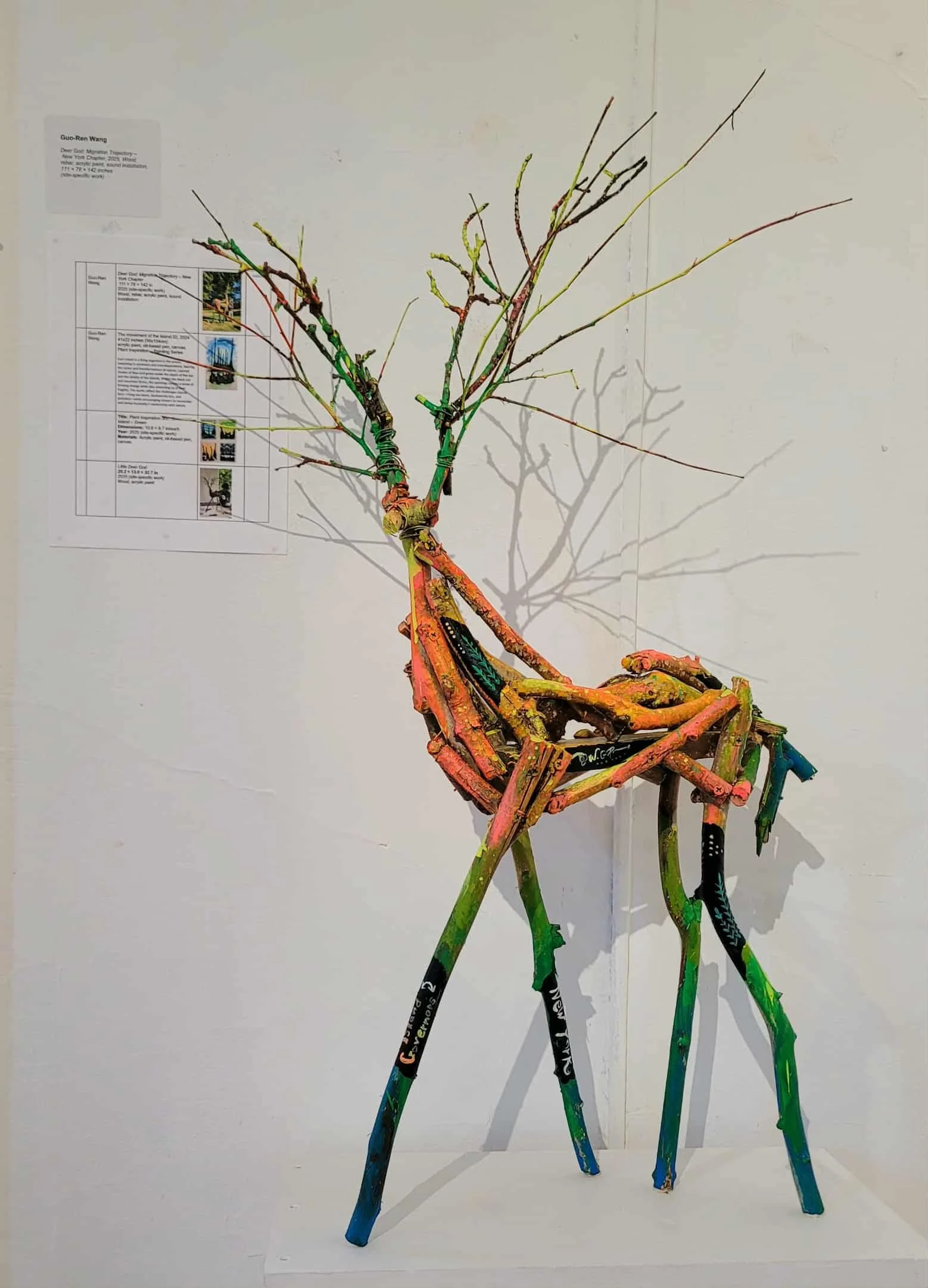 Guo-Ren Wang in NY (8).jpeg