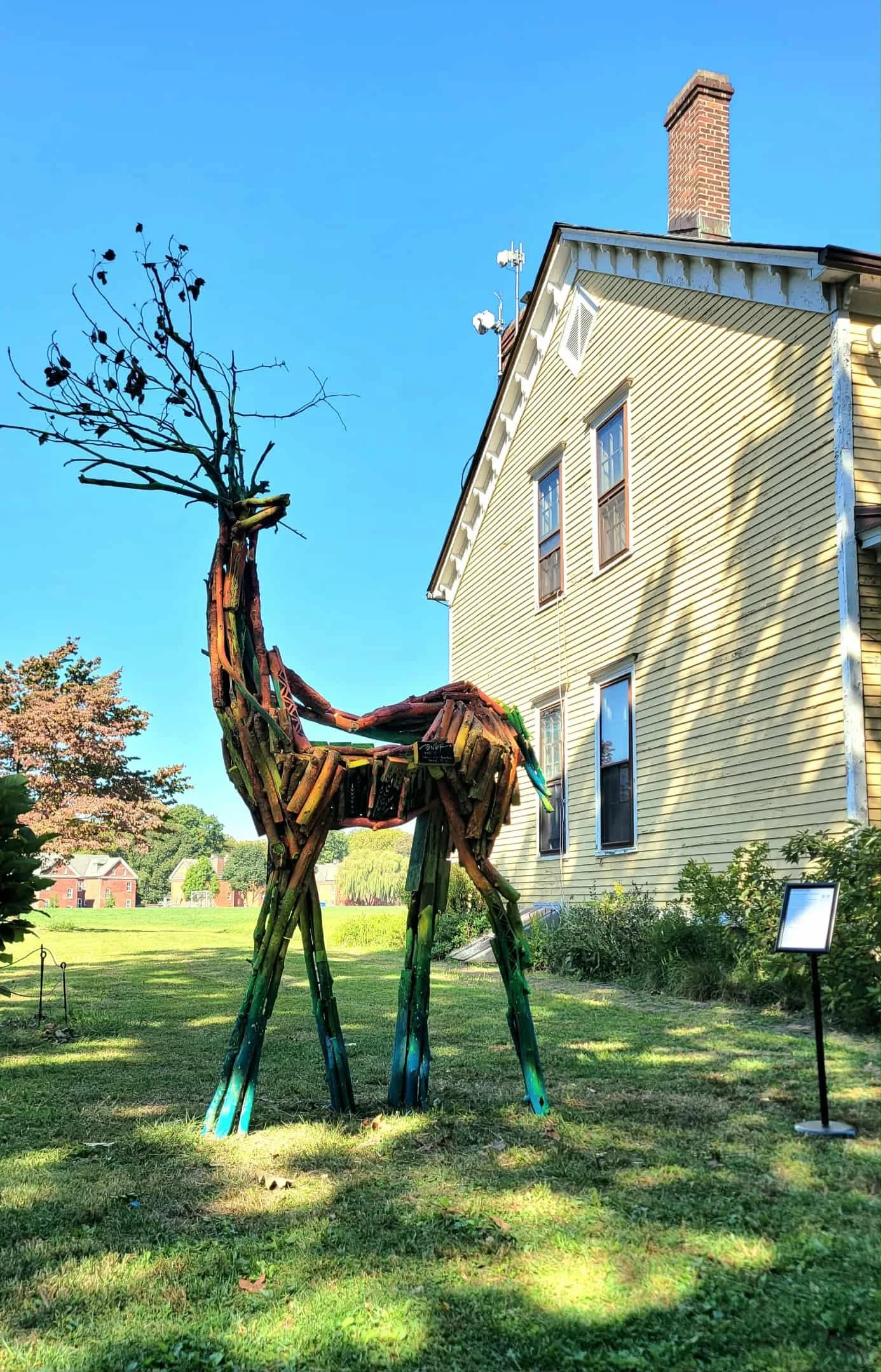 Guo-Ren Wang in NY (9).jpeg