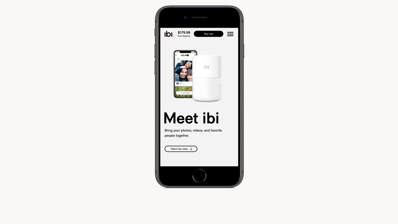 ibi2.gif