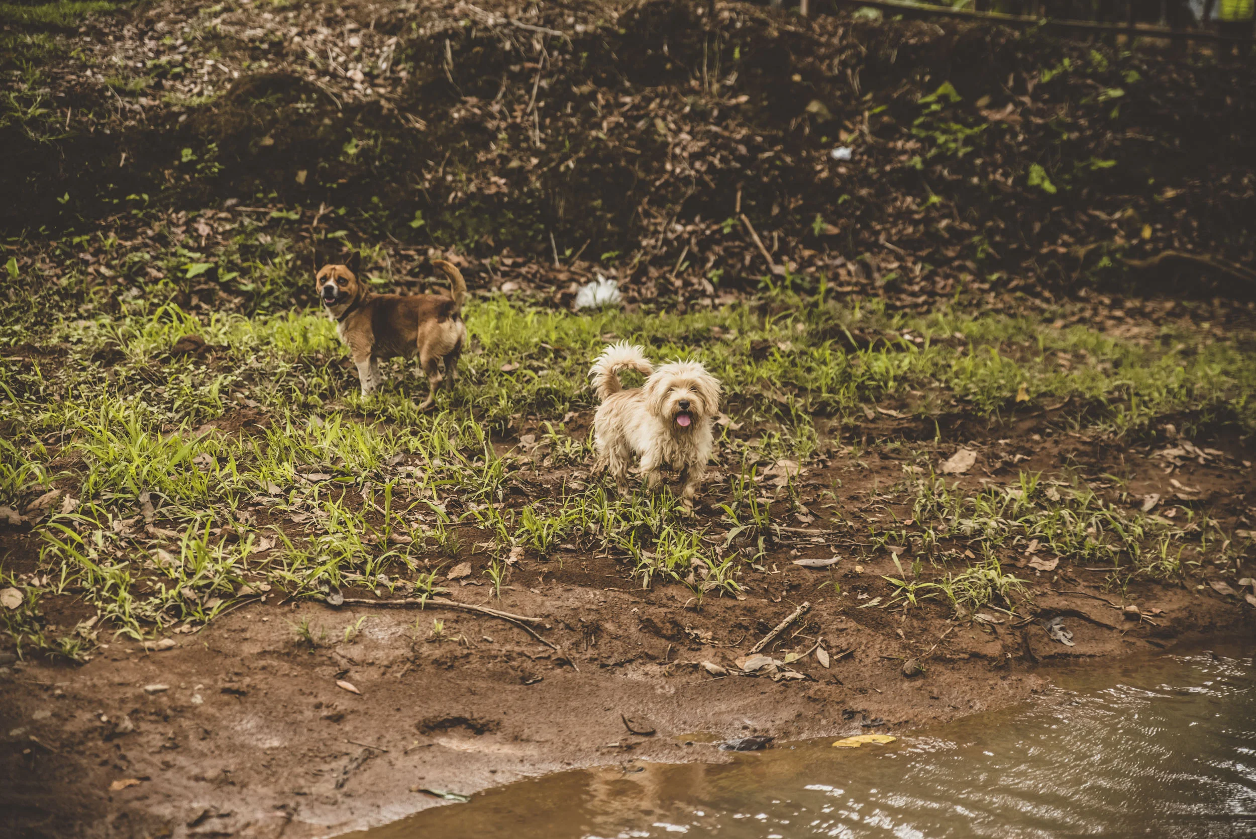 DSC_5314-e.jpg