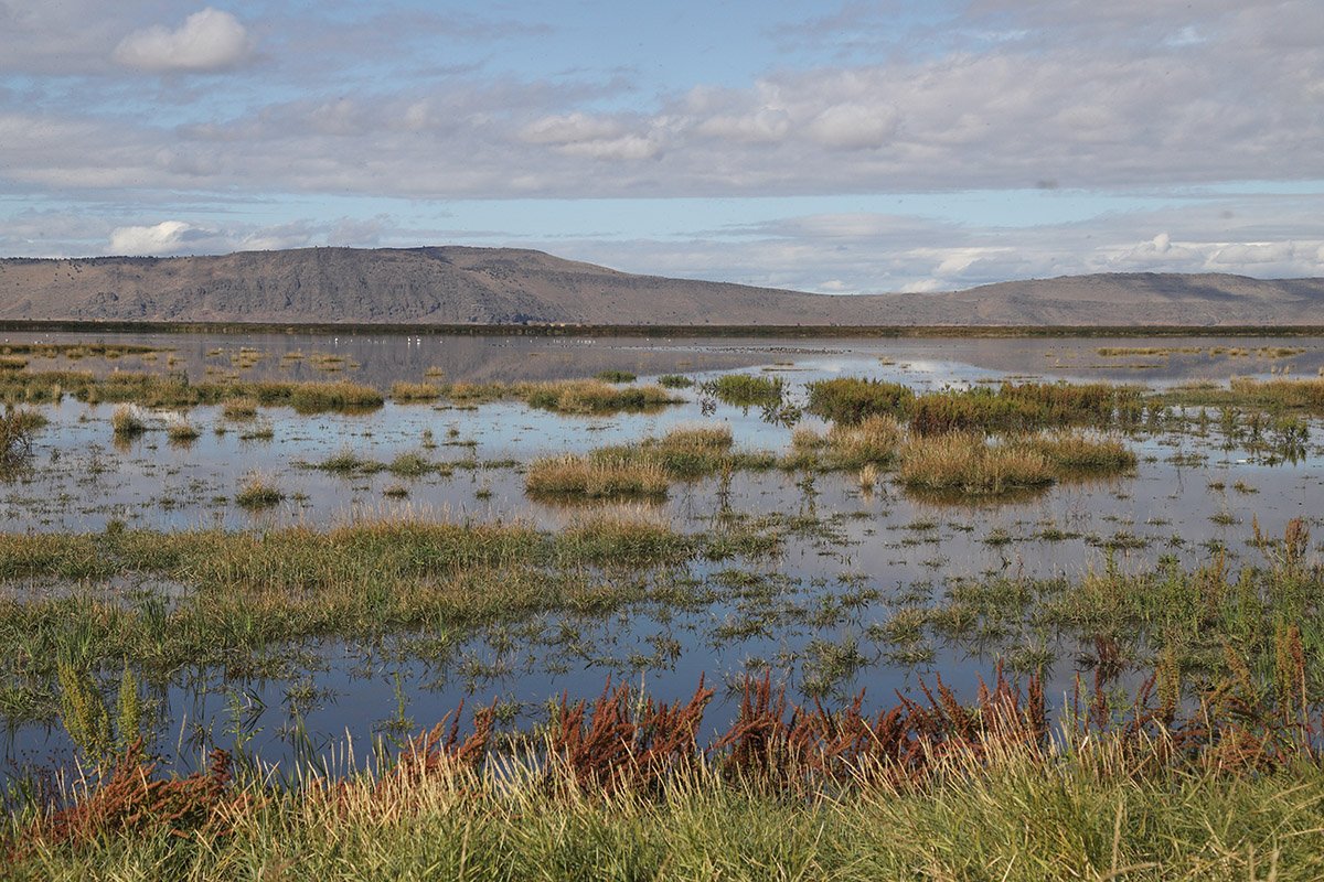 Tule Lake National Wildlife Refuge