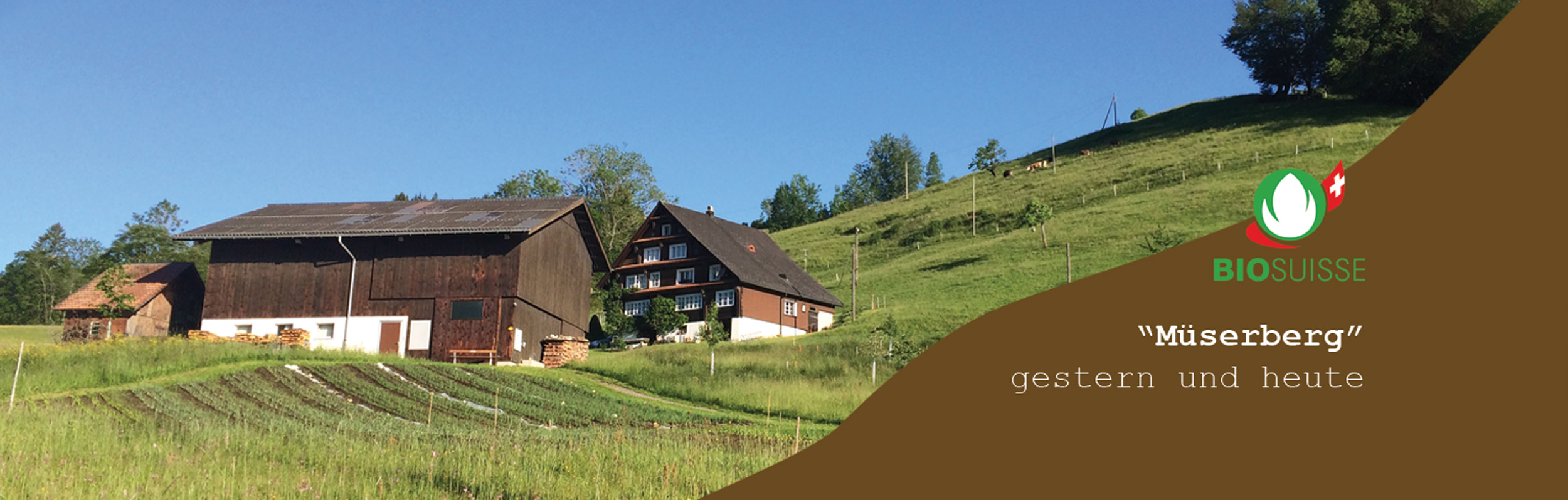 Mueserberg-Hof-Banner.jpg