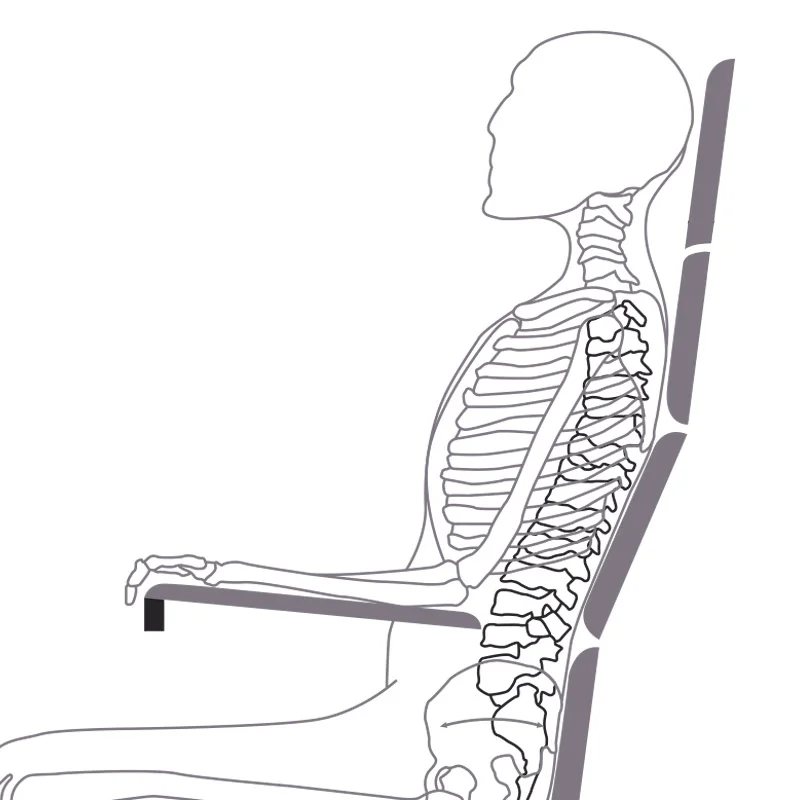 Back-2.jpg