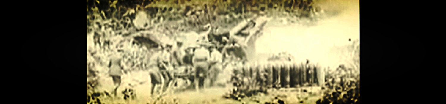 09vid_howitzer.png