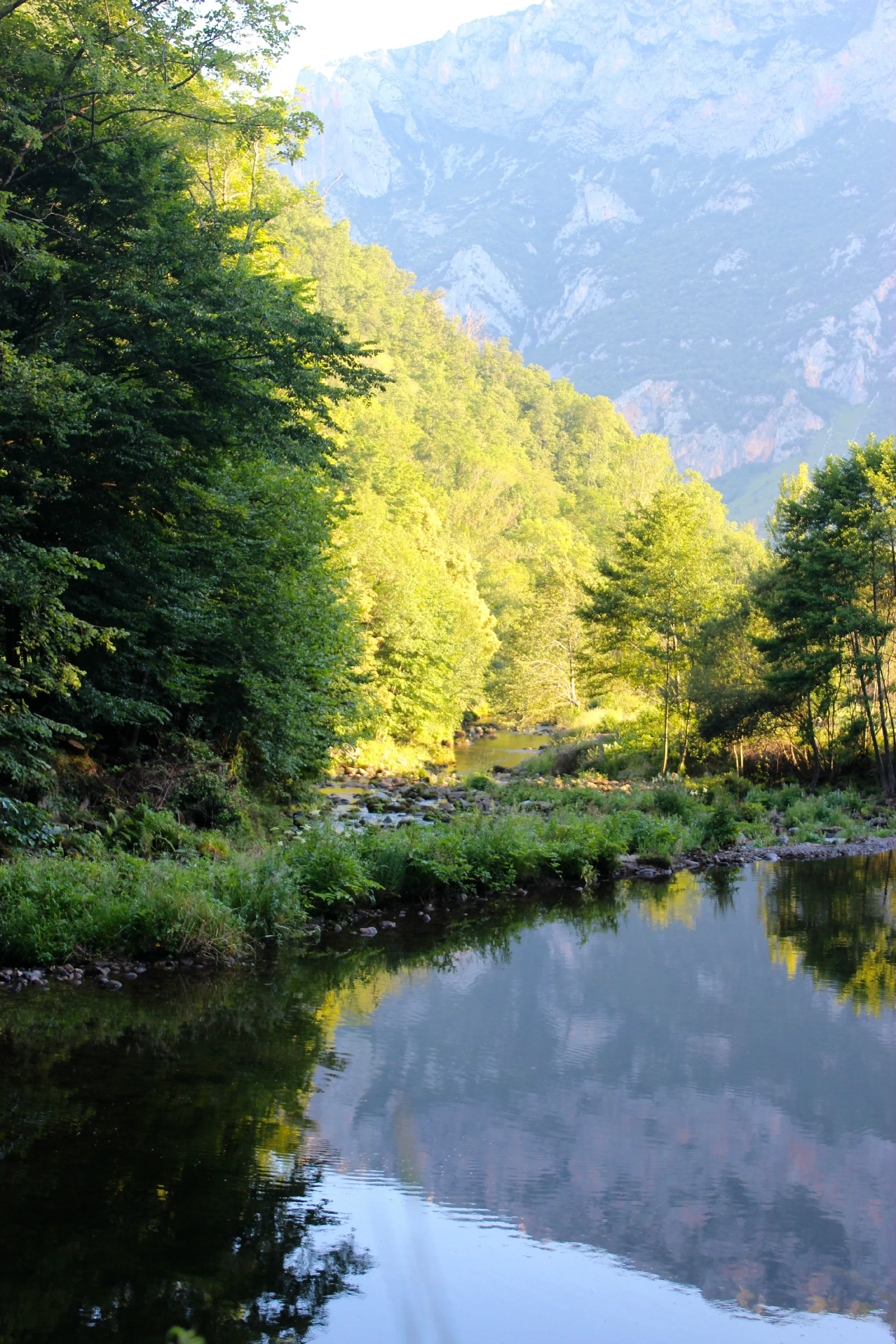 jluyphoto28.jpg