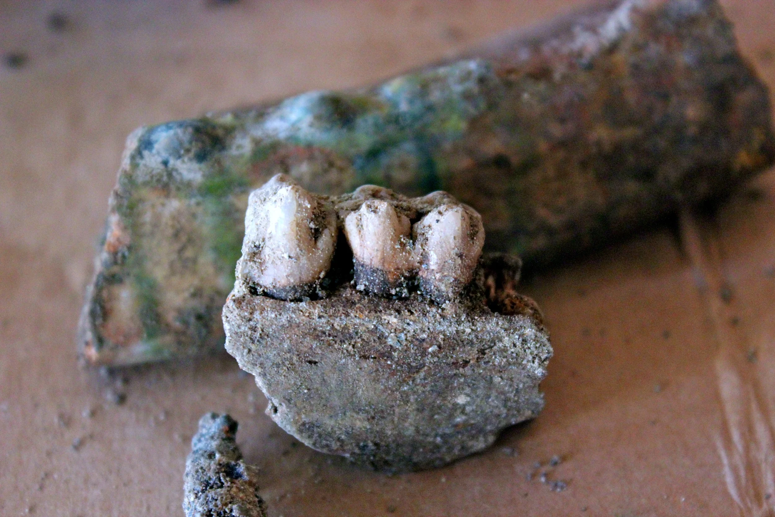 Serendipity Part Deux