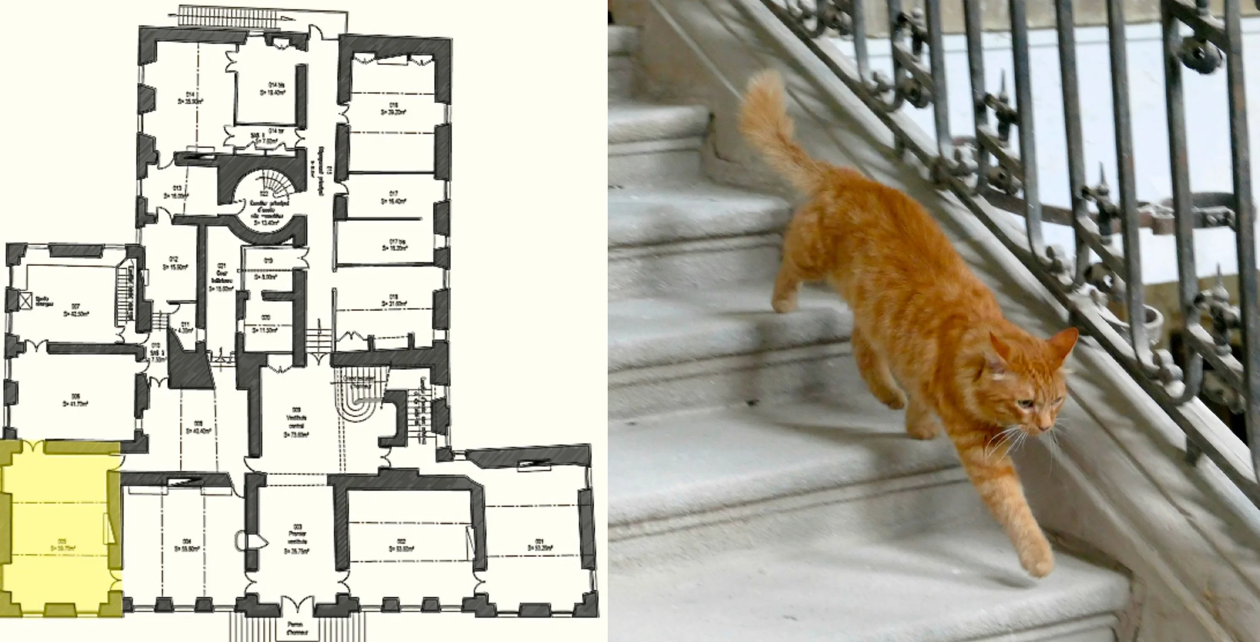 Downstairs Before and After!