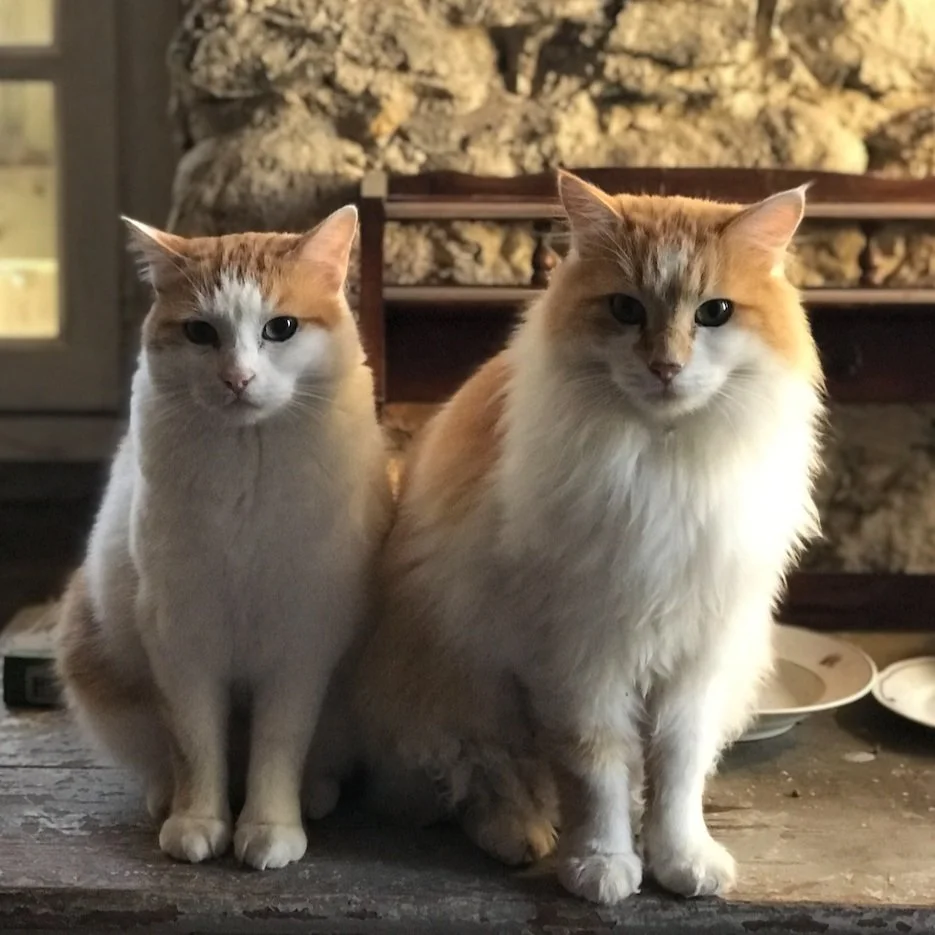 New Year At The Château