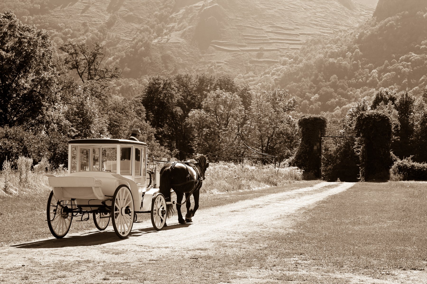 Chateau de Gudanes Horse And Carriage In Sepia - A5 Postcard.jpg