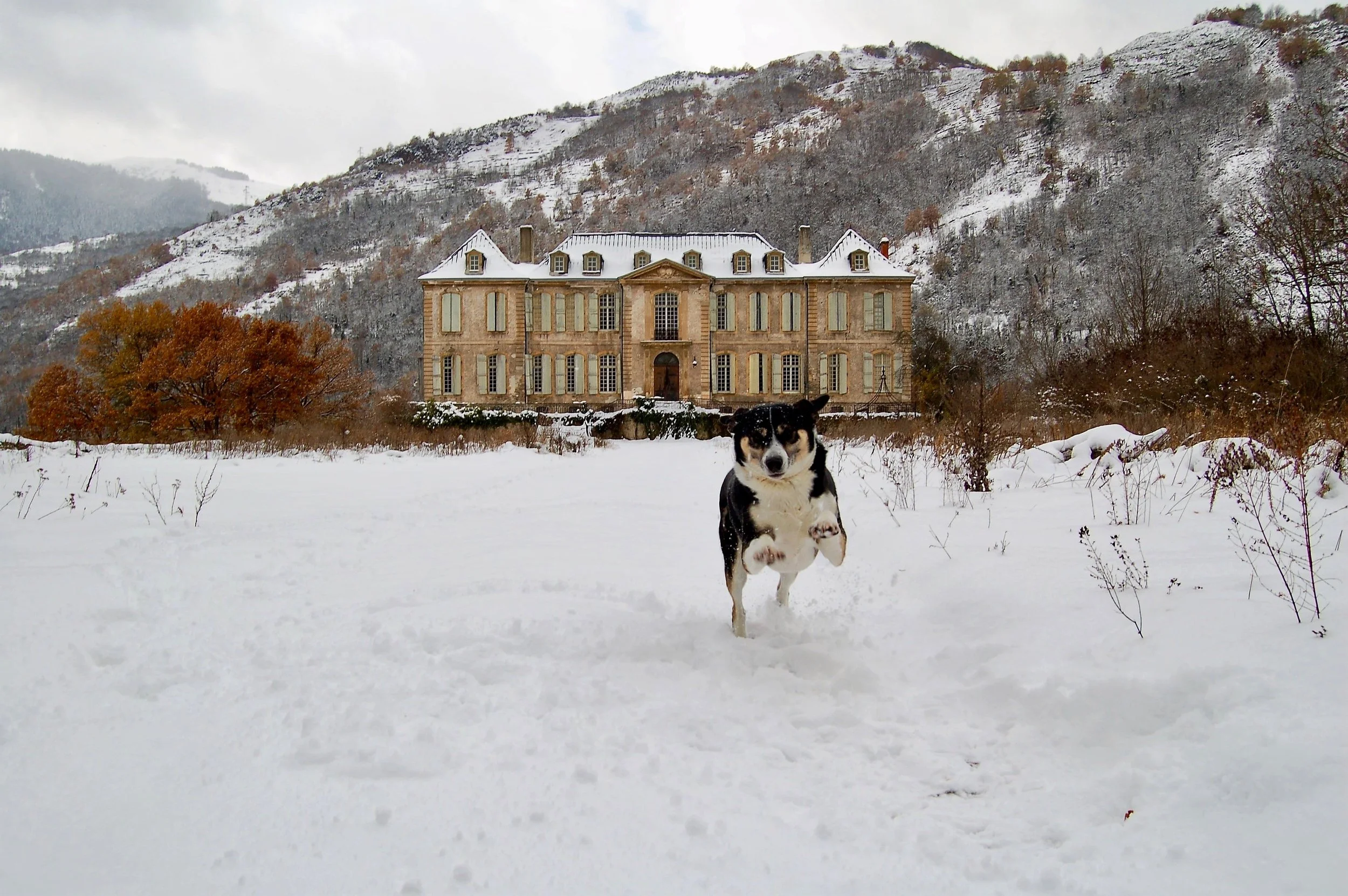 Chateau de Gudanes - Winter.jpeg