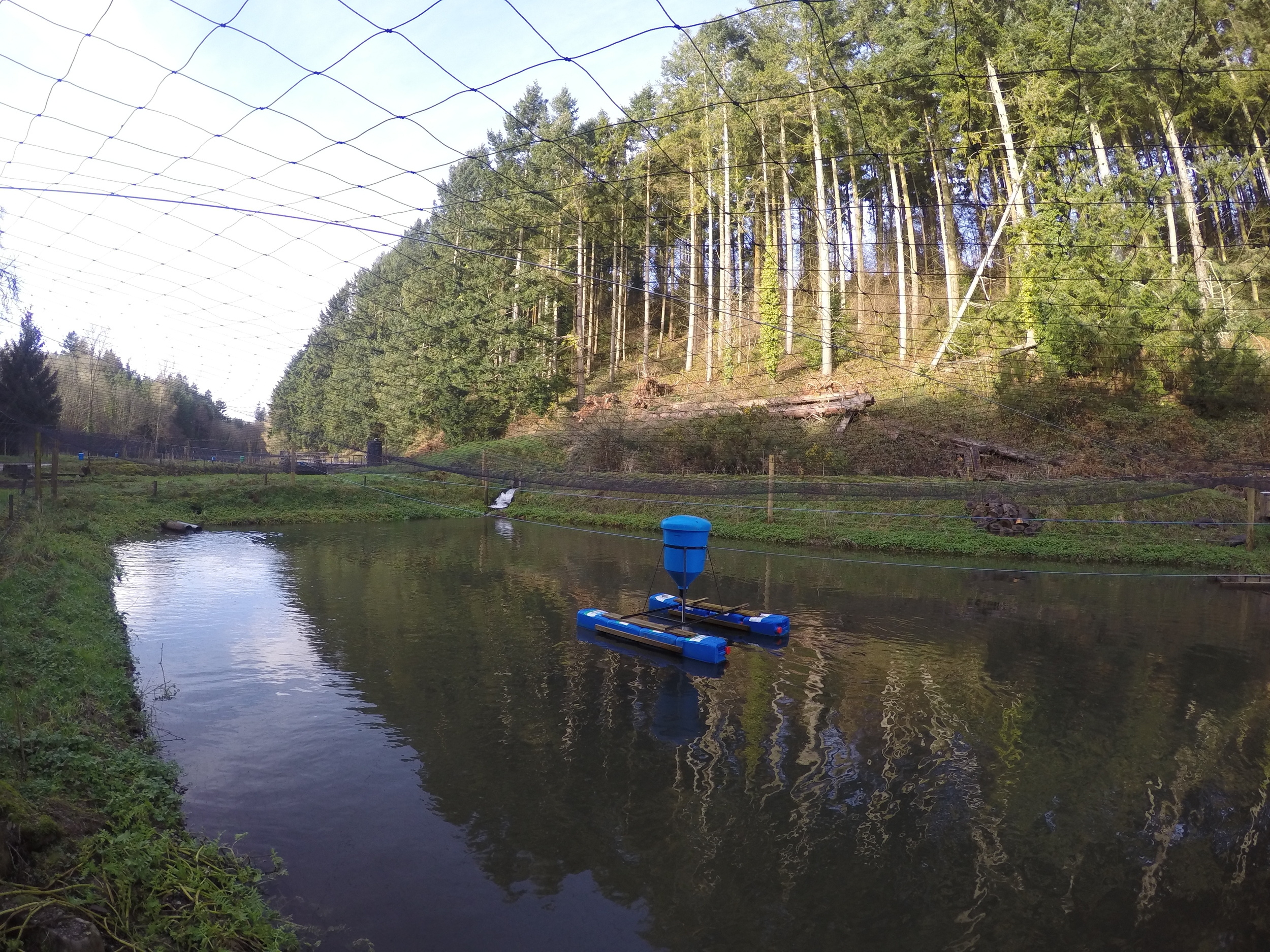 One of our 15 Earth ponds at the Roadwater site