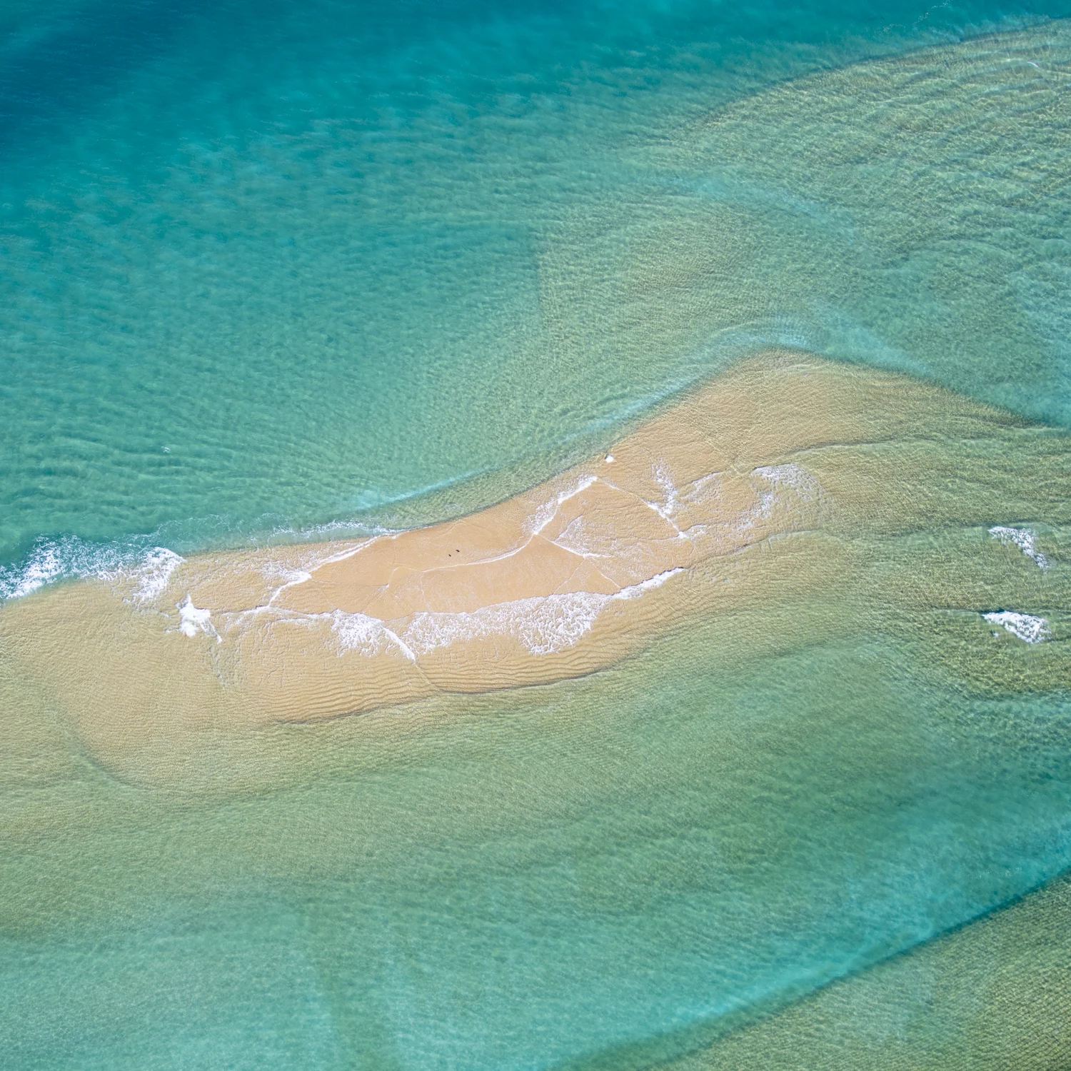 New Zealand - click to order