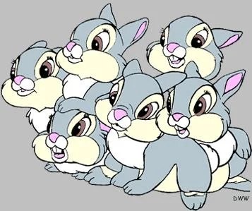 rabbits pic for site.jpg