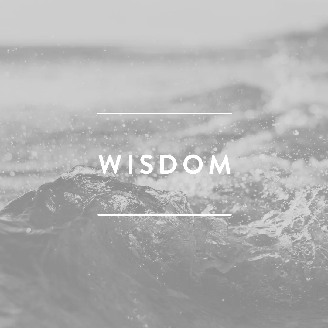 Recovery_WISDOM_SQUARE.jpg