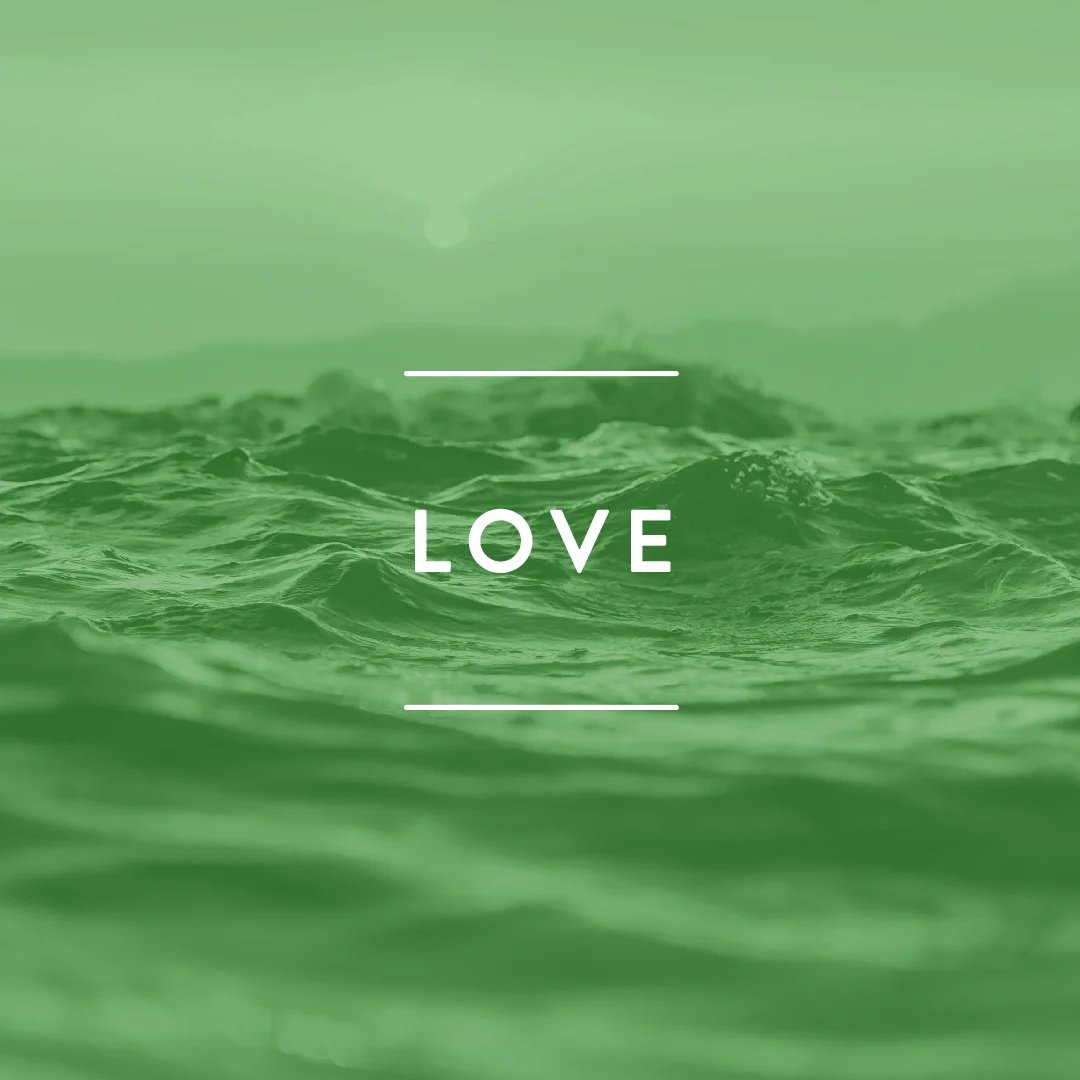 Recovery_LOVE_SQUARE.jpg