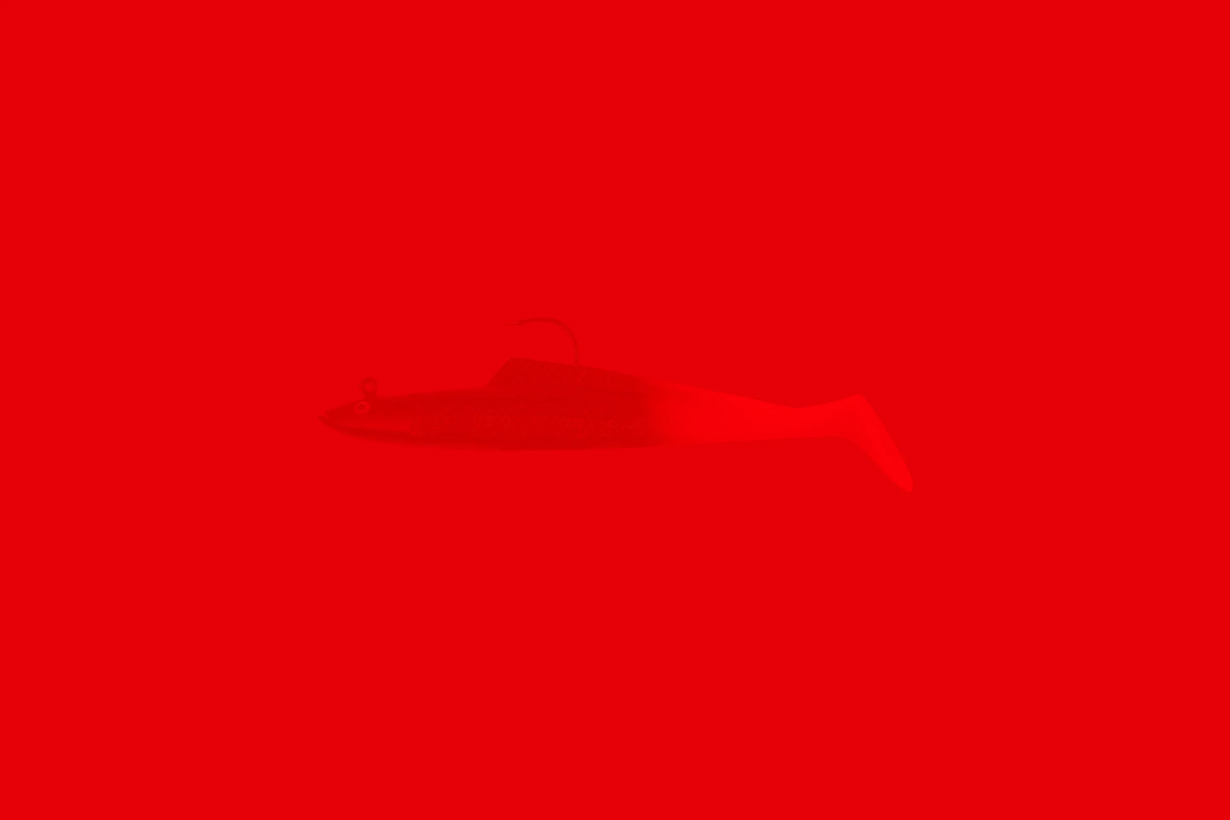 red-fish-background.jpg