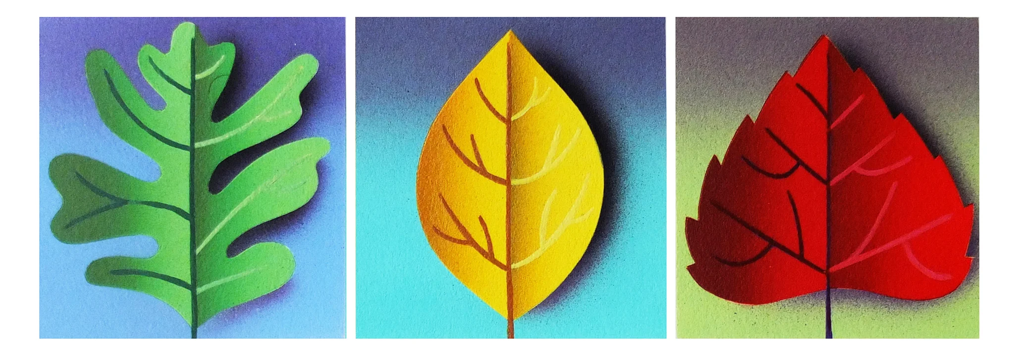 gorton fall leaves WEB.jpg