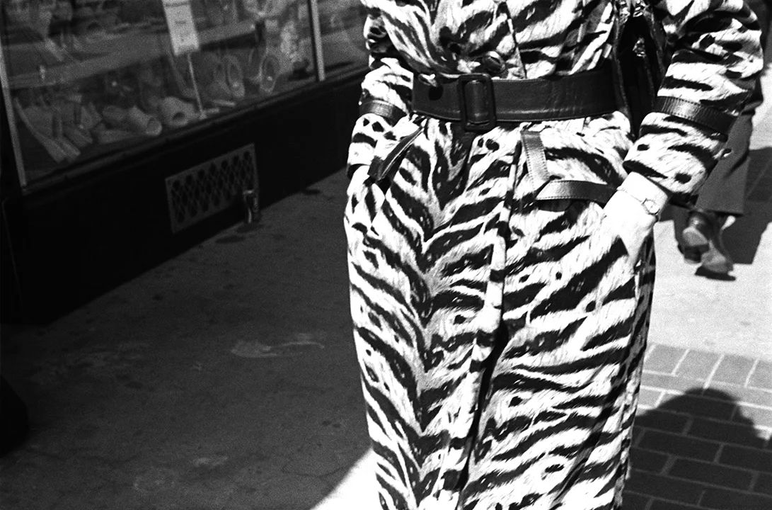 wilmington zebra coat web.jpg