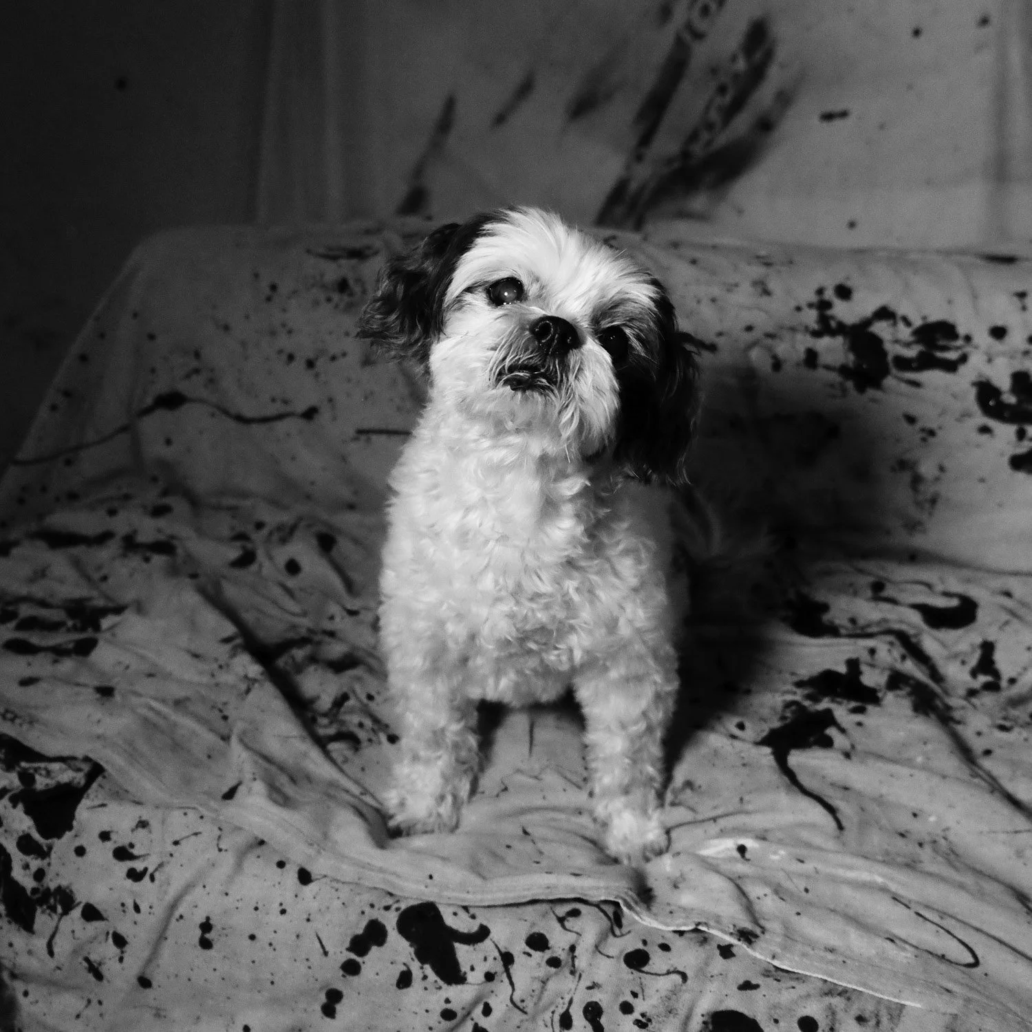 web portraits 309 march 202582.jpg