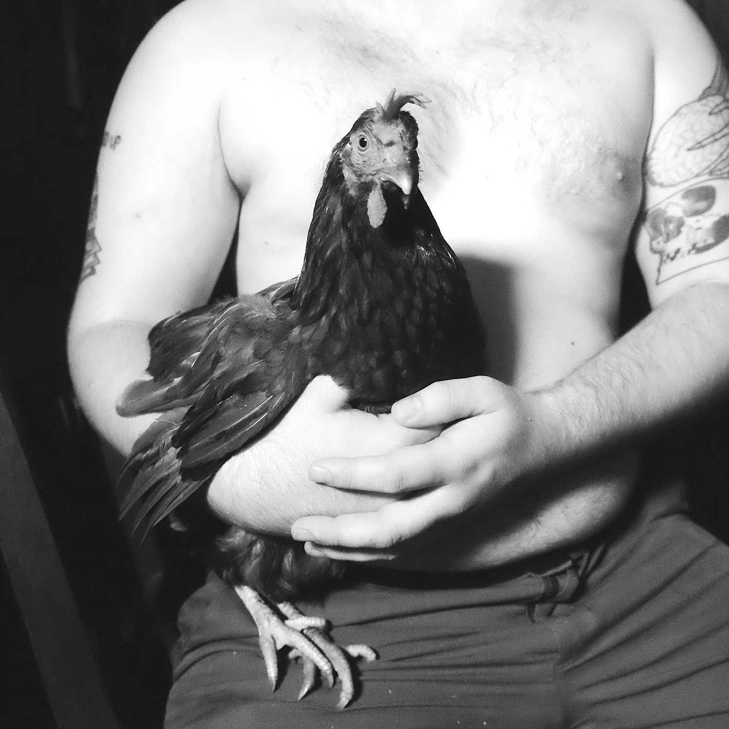 309 frist shoot web225.jpg