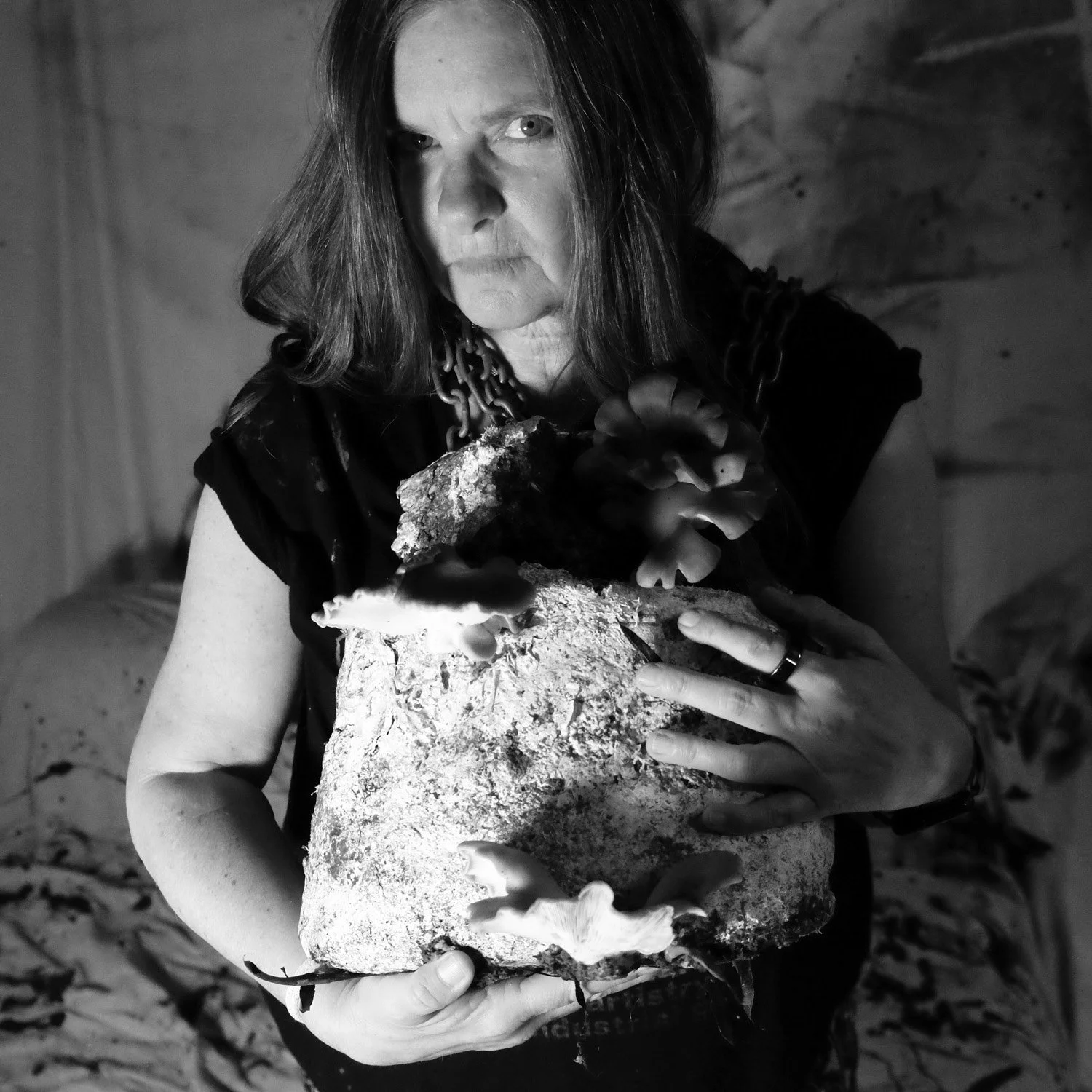 web portraits 309 march 202584.jpg