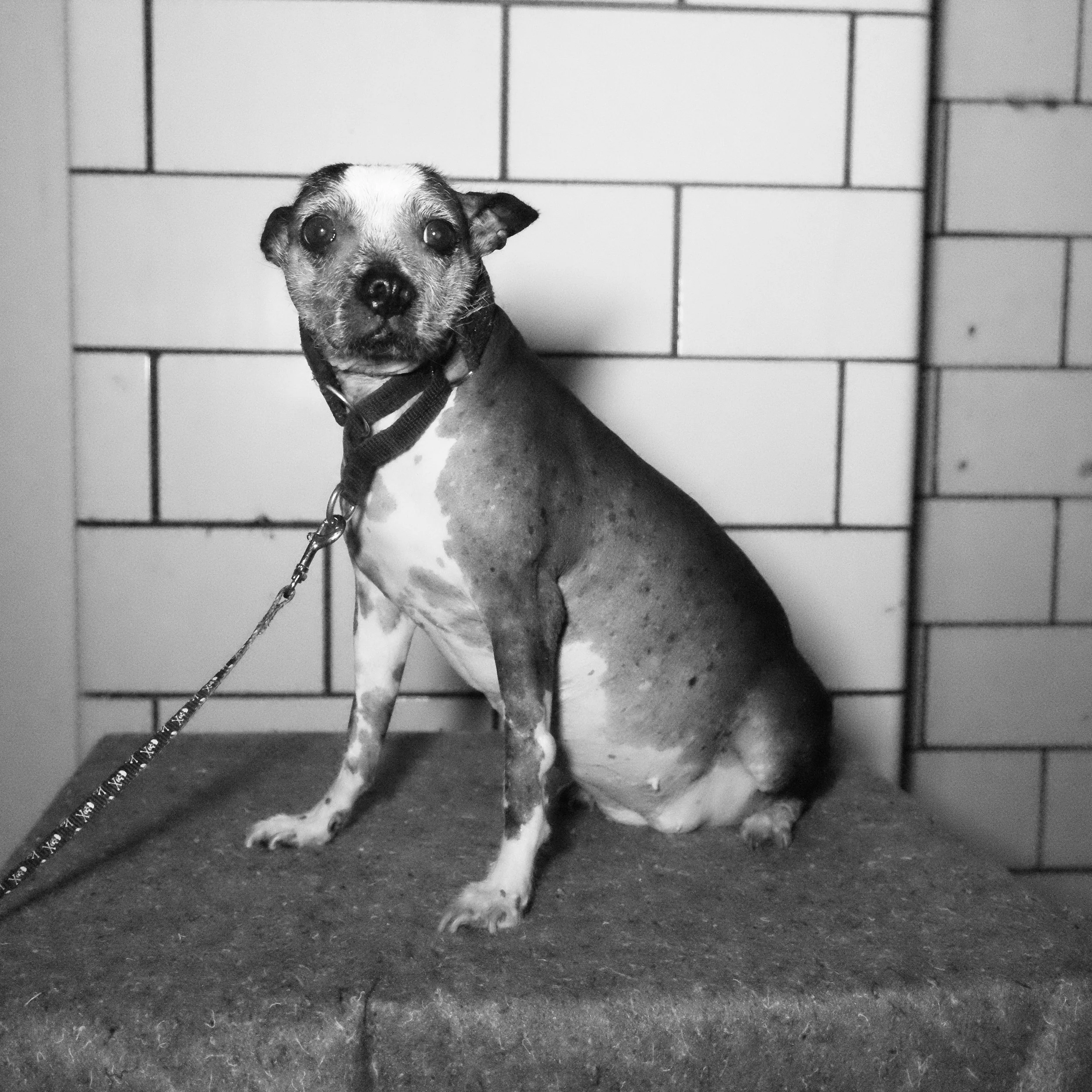 WEB DSCF9295 copy.jpg