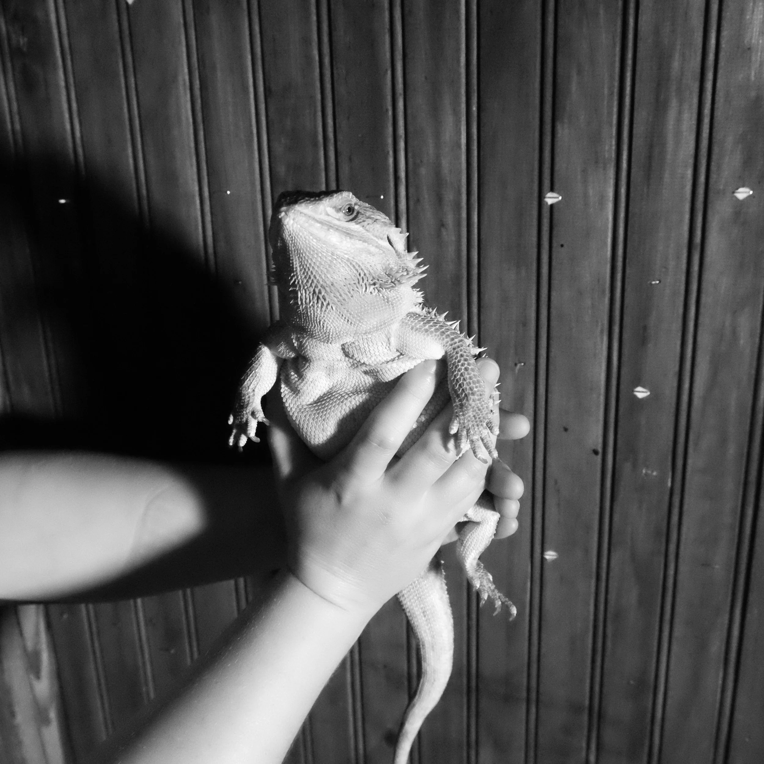 web portrait 309 second shoot236.jpg