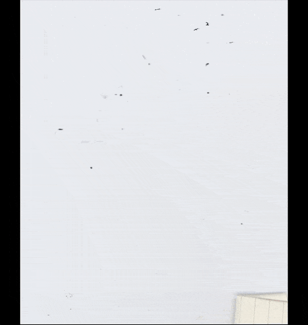 AndrewBoyle_Resize_029.gif