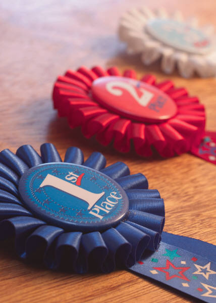 The Prince George's County Fair